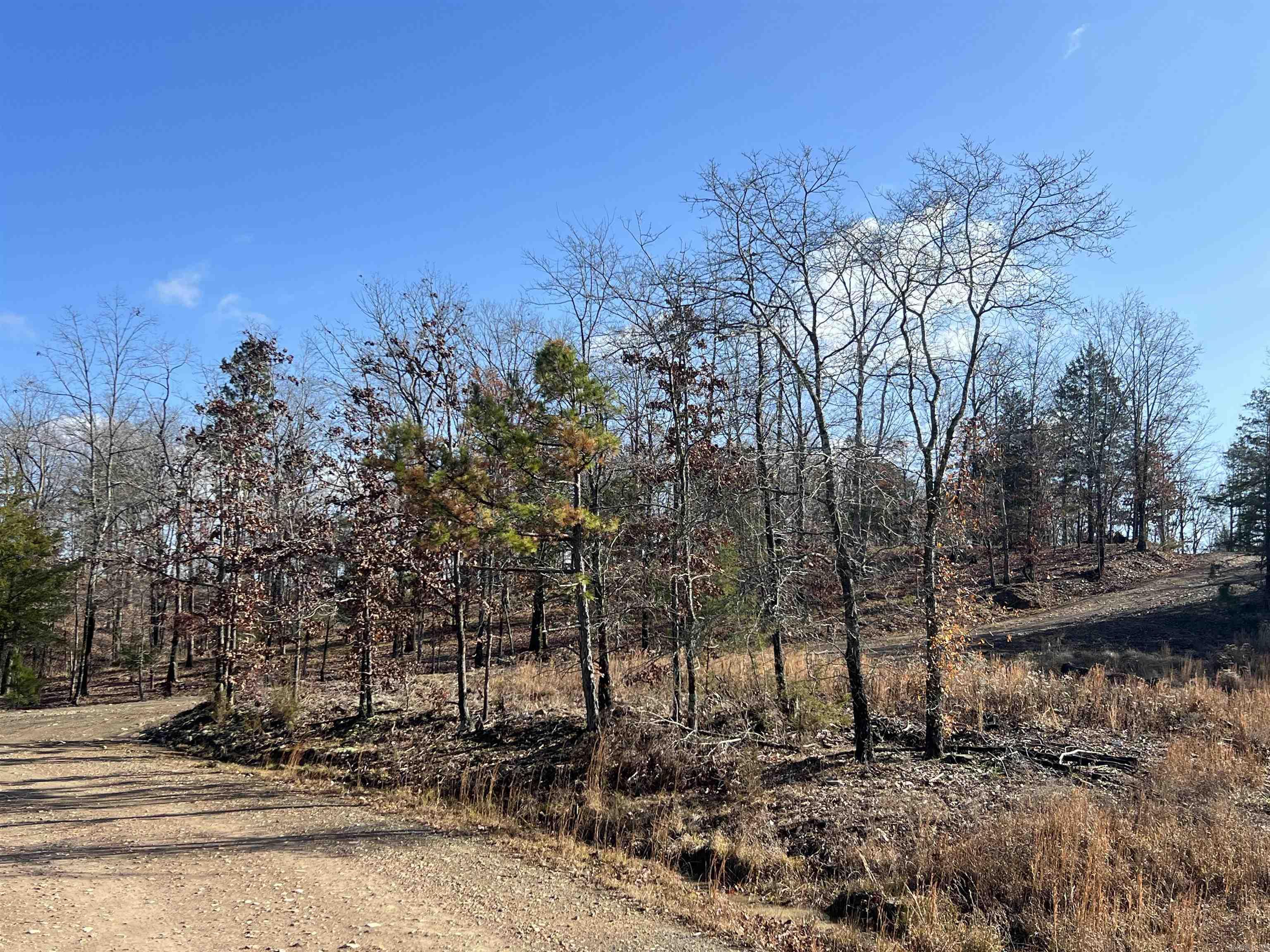 165 Mirage Lane Hatfield, AR 71945