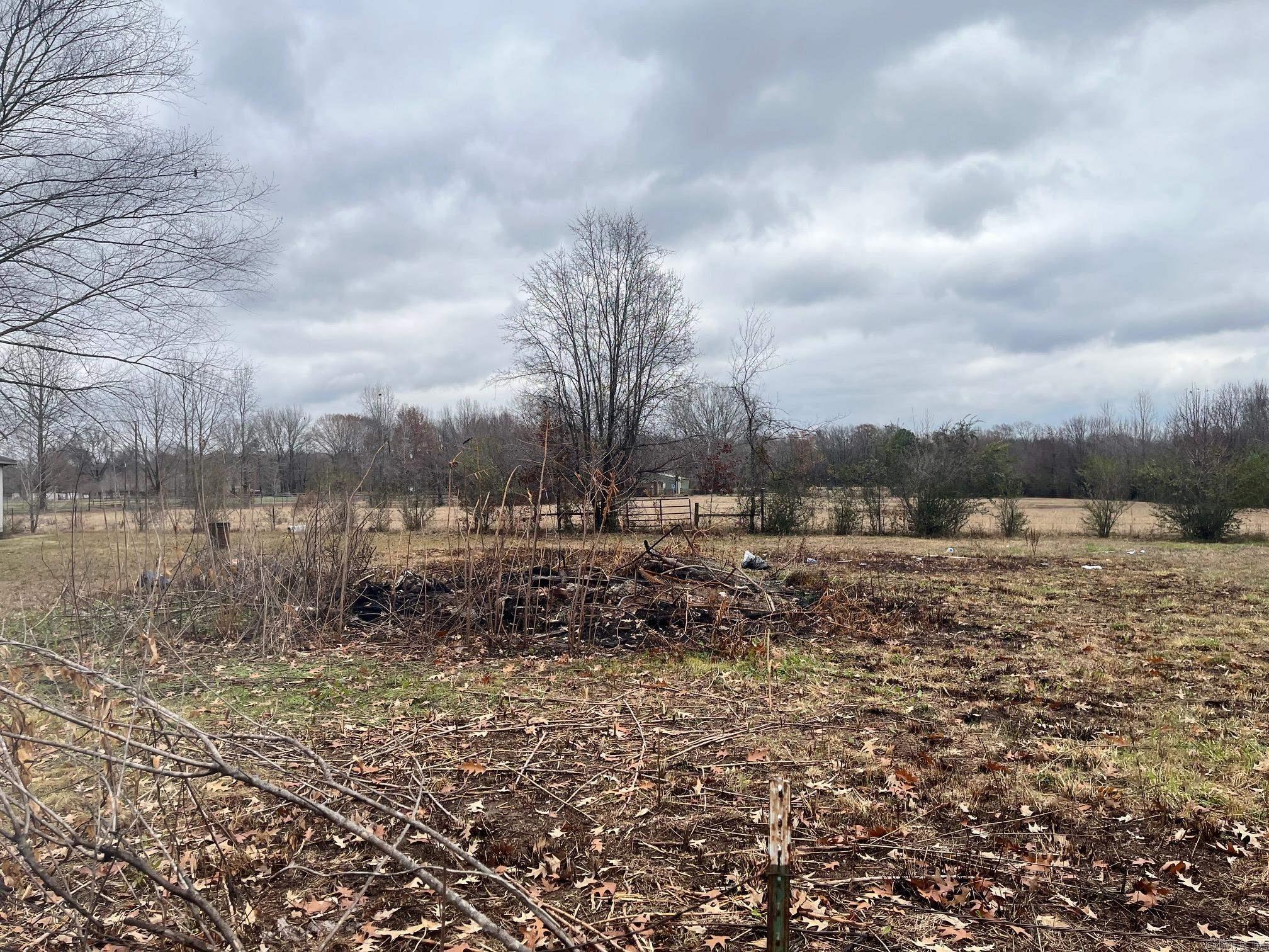 483  Morrison  Ward, AR
