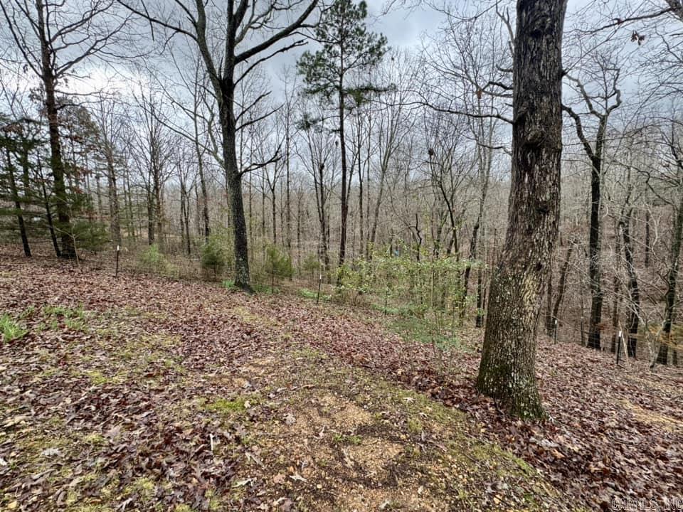 1706  Herpel Road  Mountain View, AR