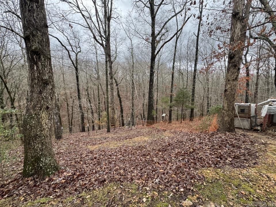 1706  Herpel Road  Mountain View, AR