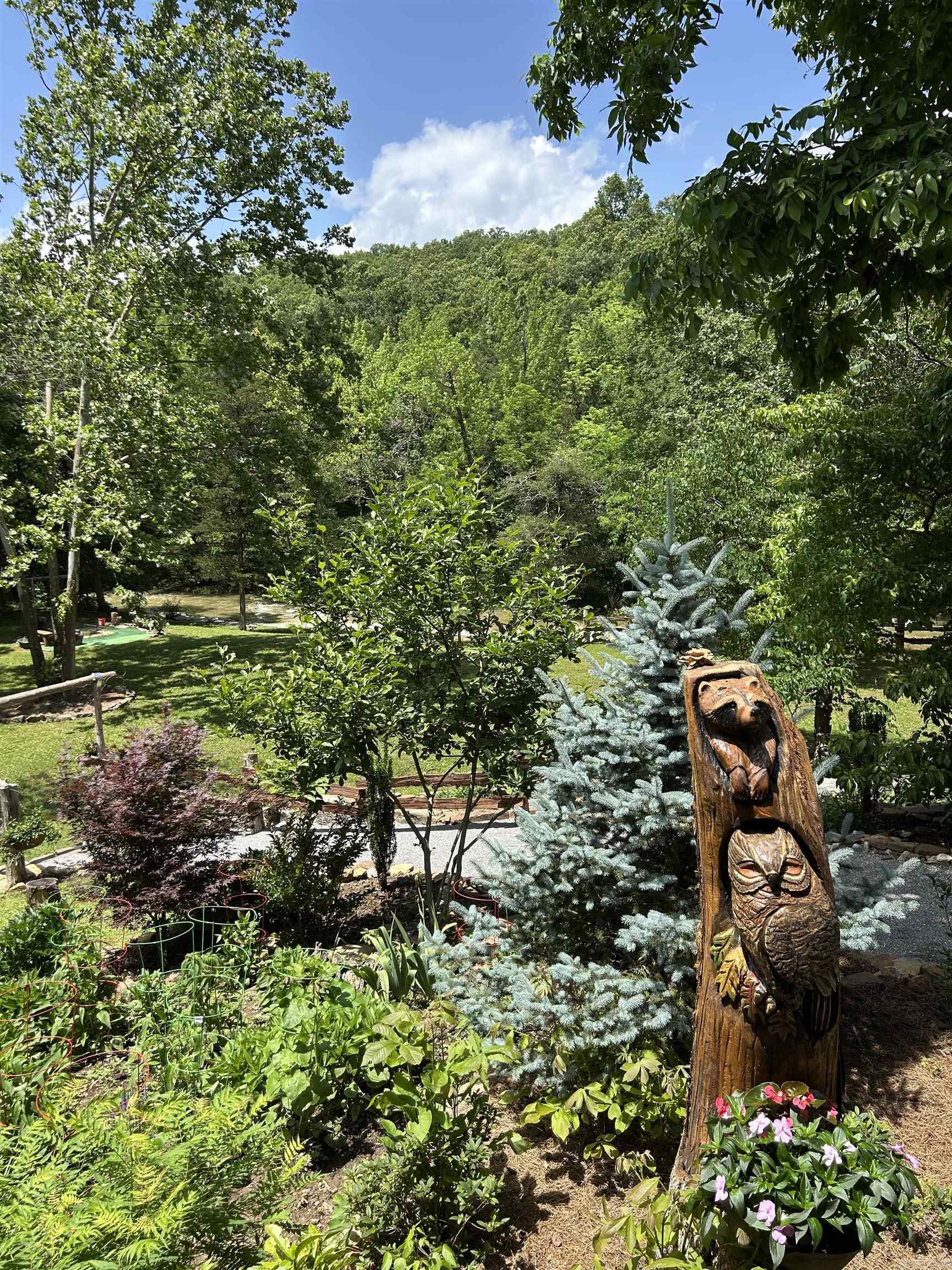 540  Lick Fork Dr  Mountain View, AR