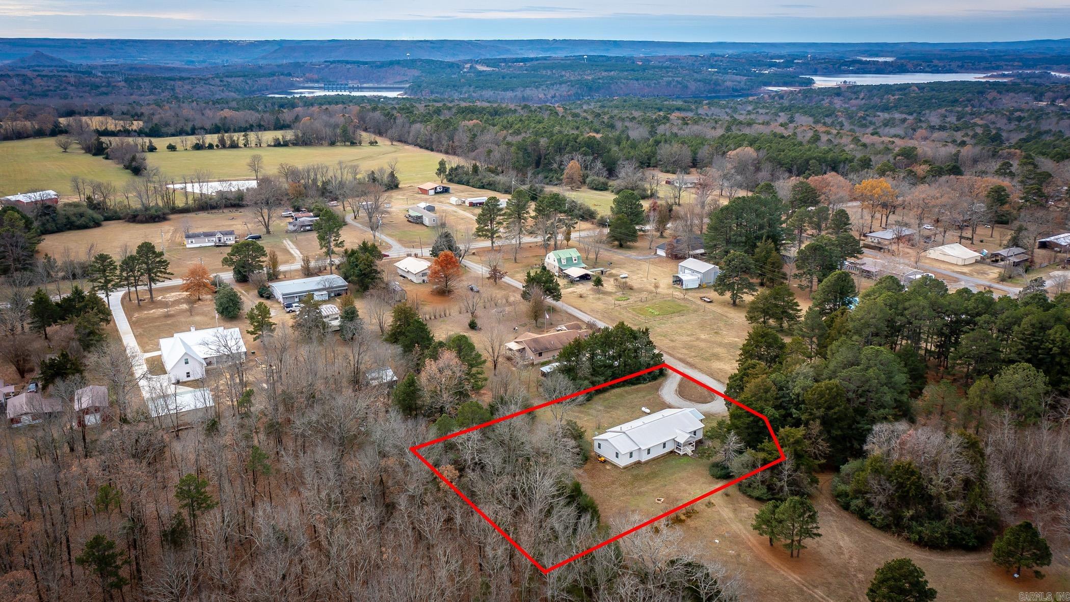 50  Persimmon  Tumbling Shoals, AR