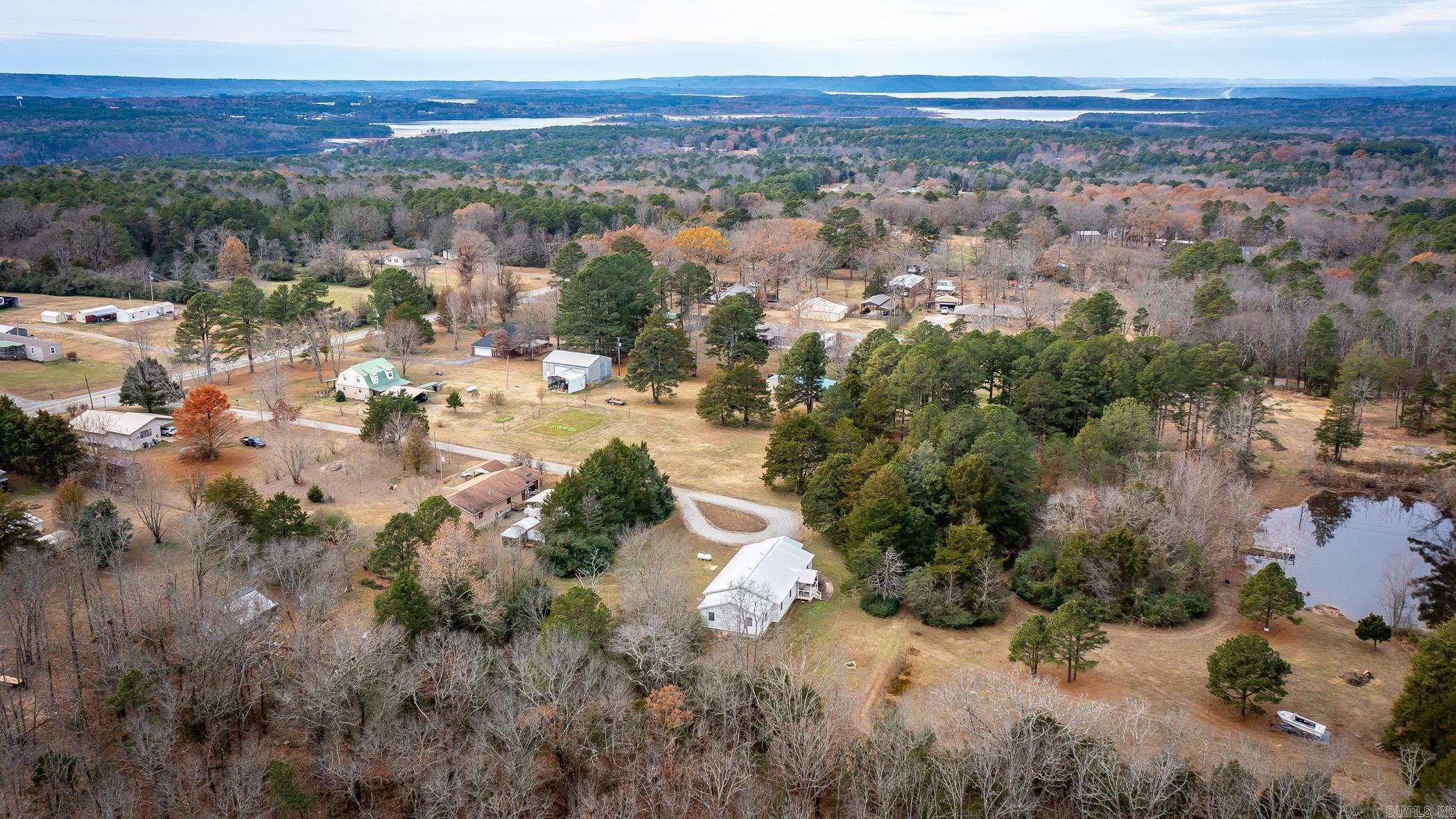 50  Persimmon  Tumbling Shoals, AR