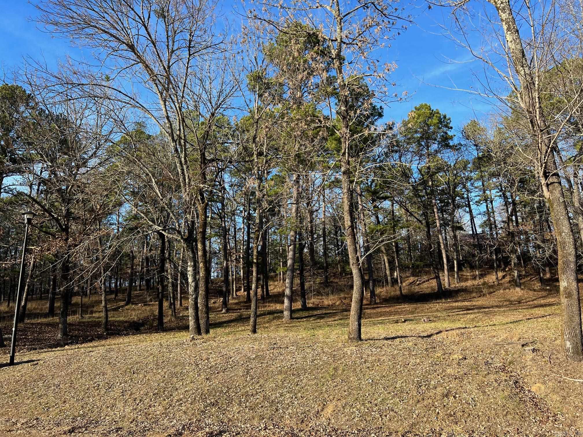 Lot 11  Primrose Creek  Heber Springs, AR