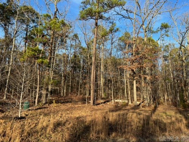 Lot 36  Primrose Creek  Heber Springs, AR
