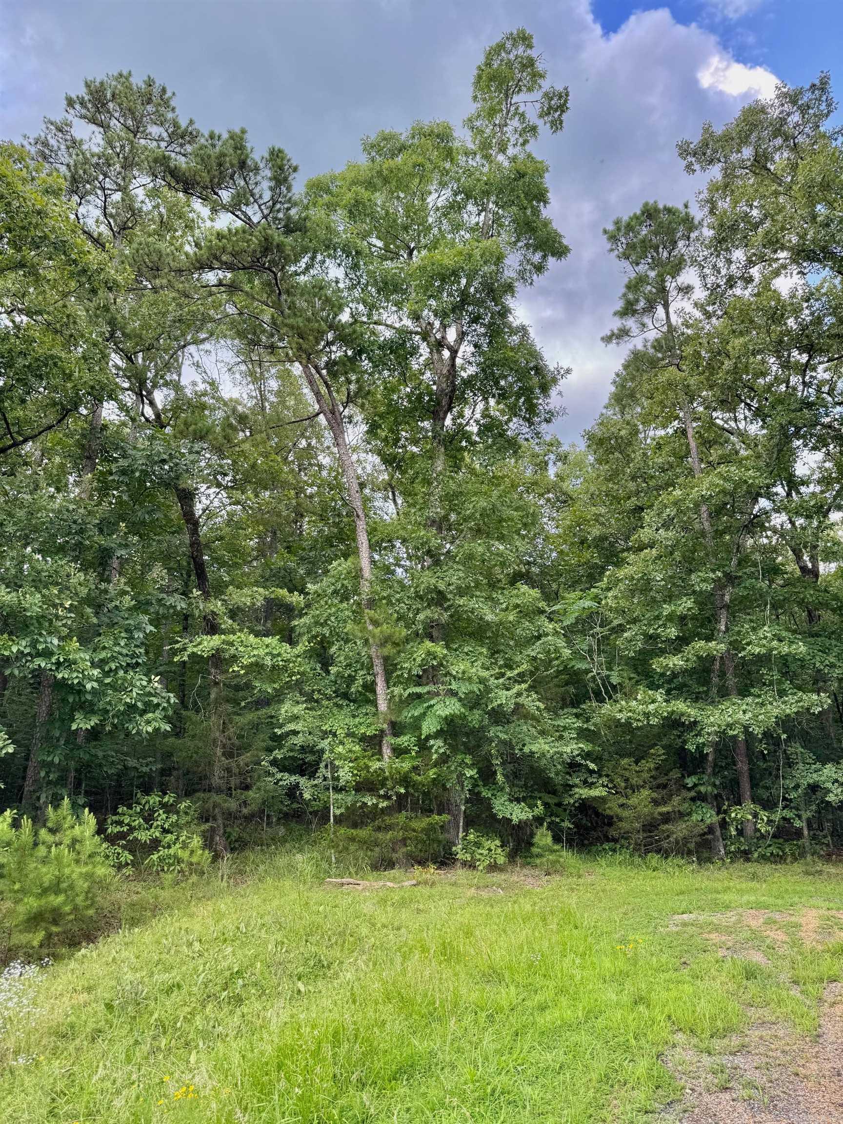 Lot 37 Primrose Creek  Heber Springs, AR