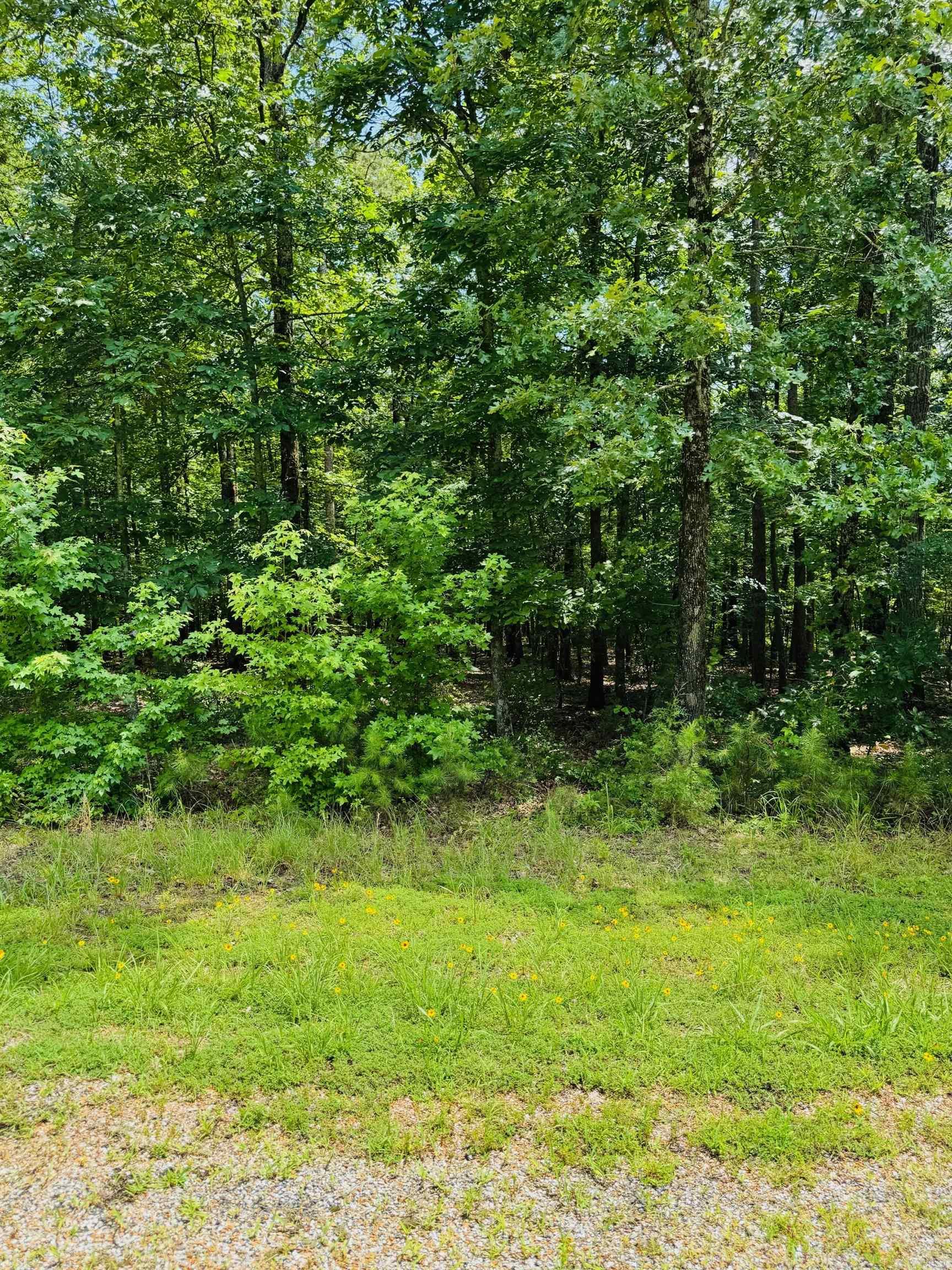 Lot 41 Primrose Creek  Heber Springs, AR