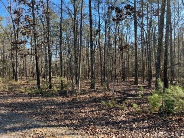 Lot 43  Primrose Creek  Heber Springs, AR