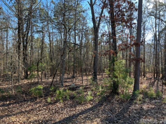 Lot 44  Primrose Creek  Heber Springs, AR