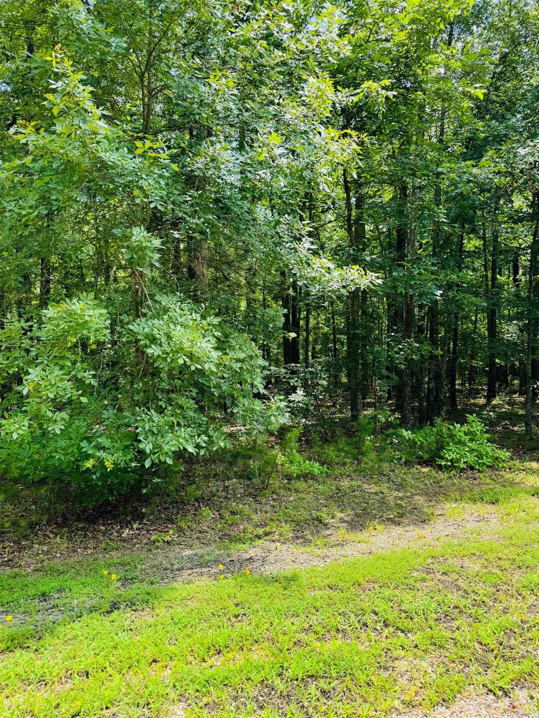Lot 44 Primrose Creek  Heber Springs, AR