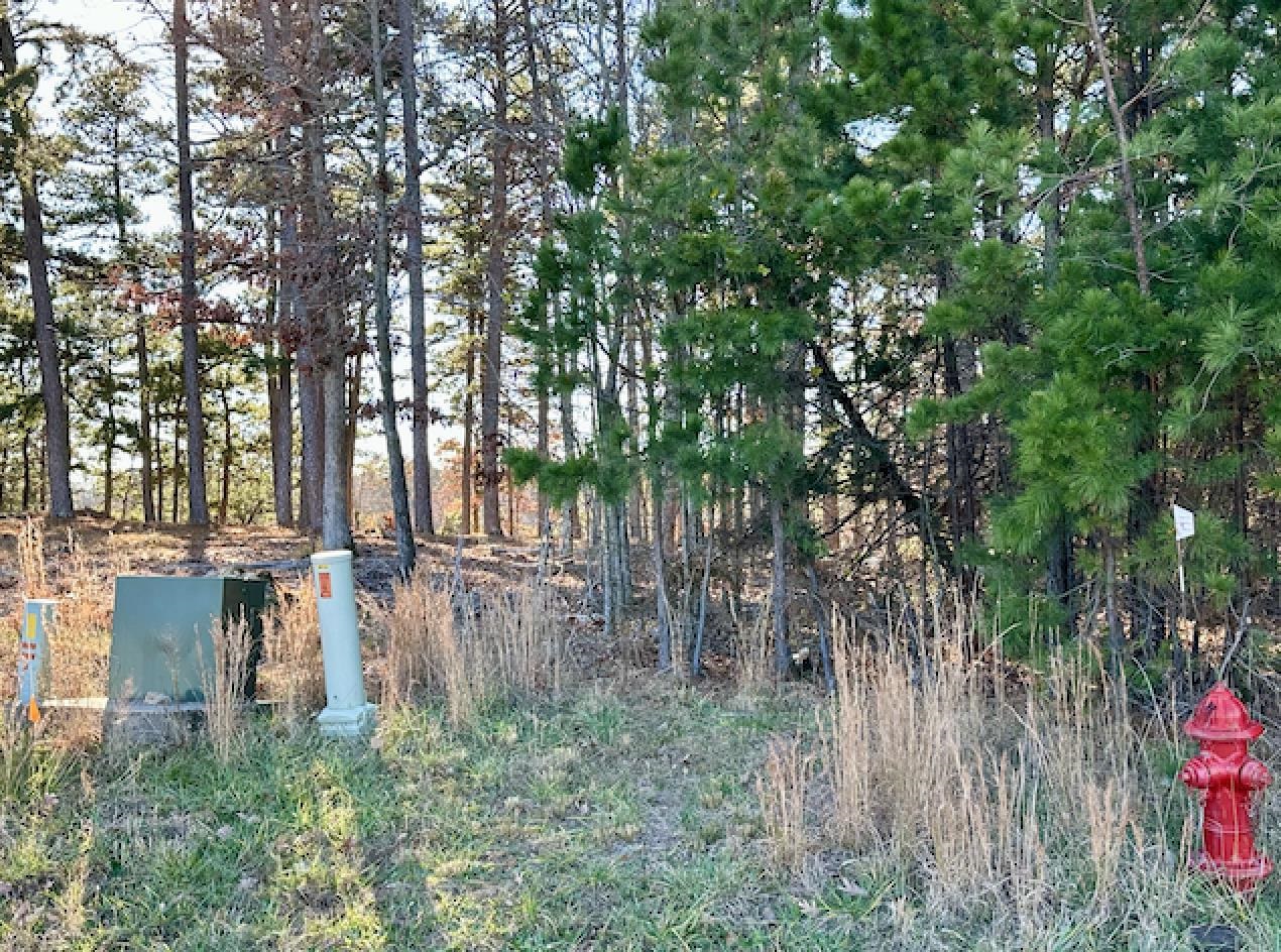 Lot 40  Swiss Alps Lane  Mountain Home, AR