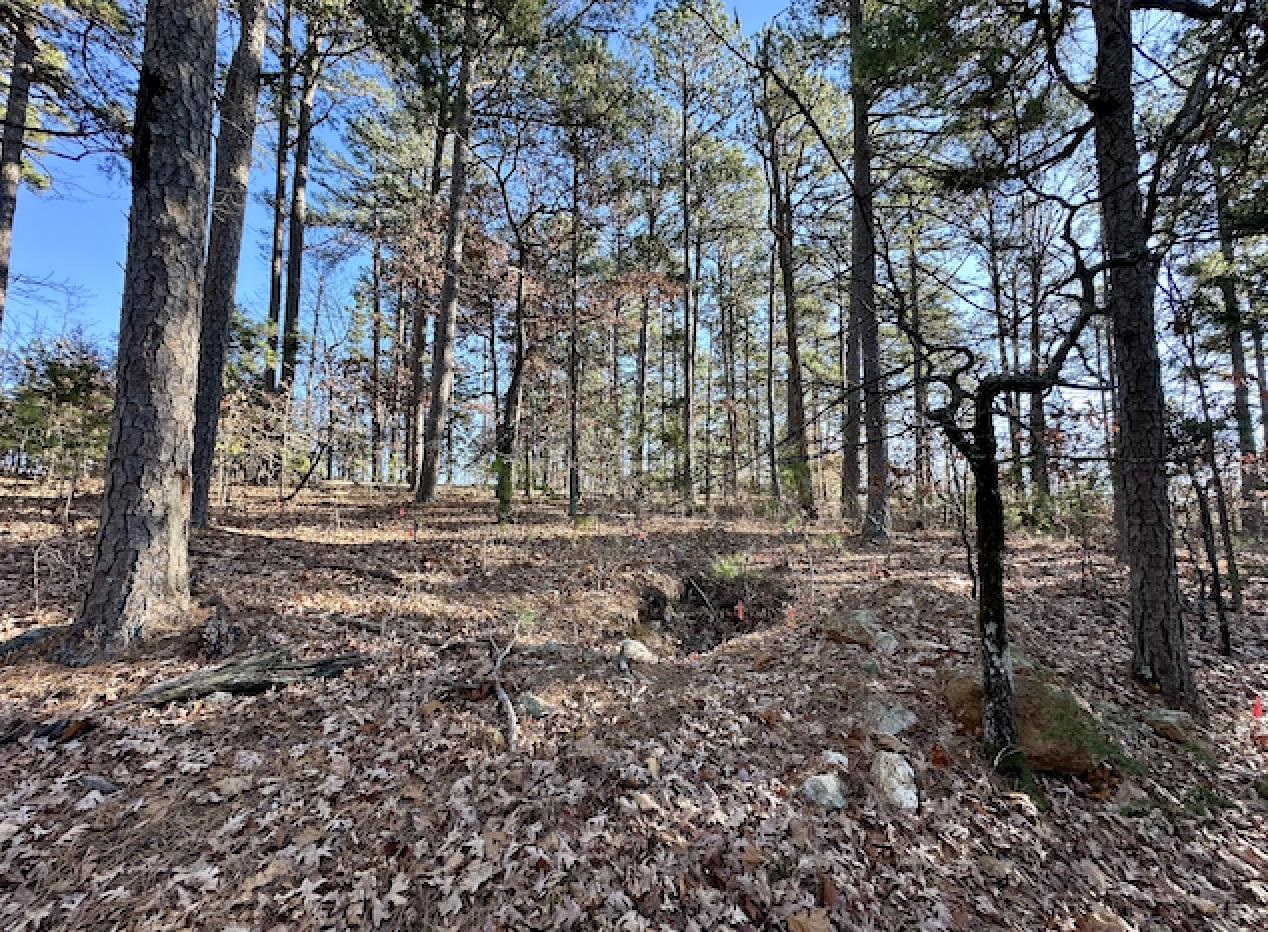 Lot 40  Swiss Alps Lane  Mountain Home, AR