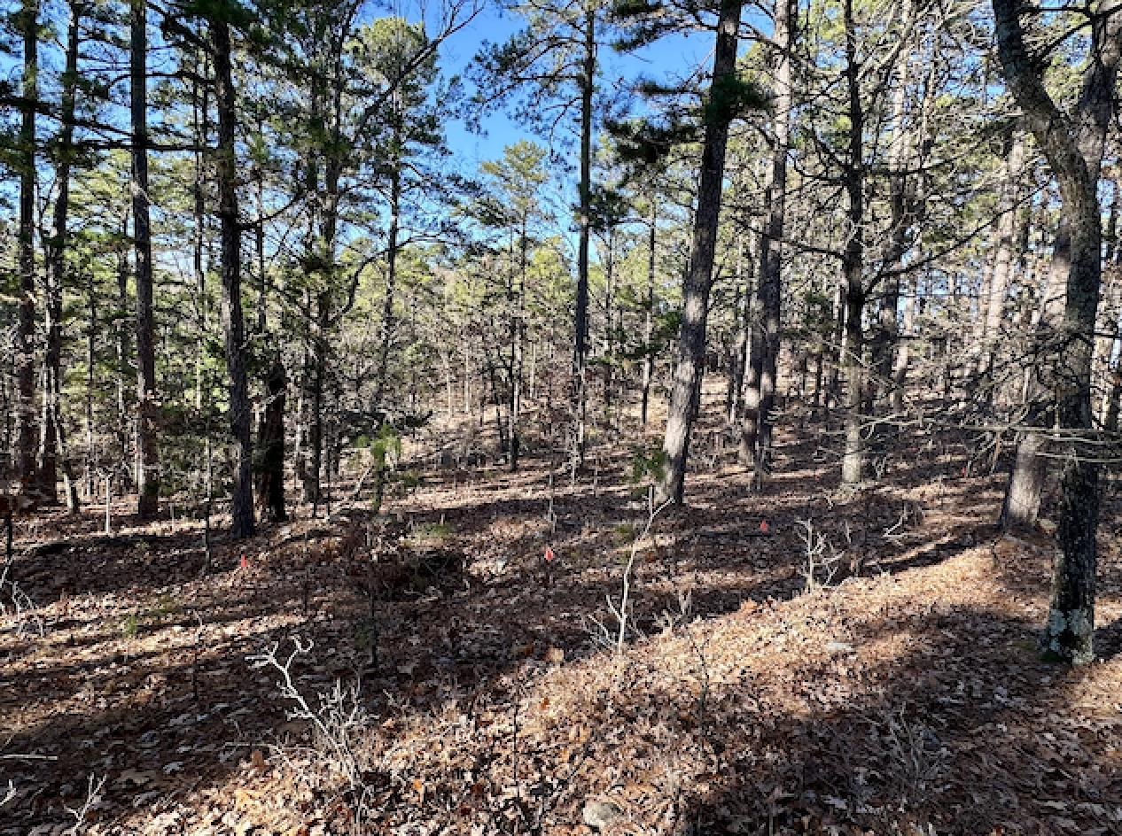 Lot 40  Swiss Alps Lane  Mountain Home, AR