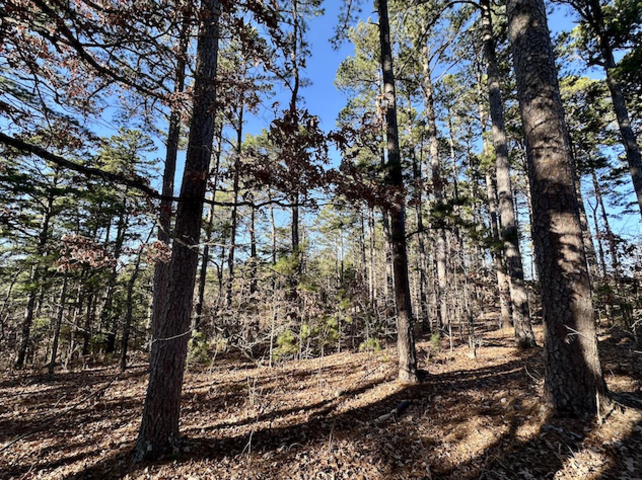 Lot 40  Swiss Alps Lane  Mountain Home, AR