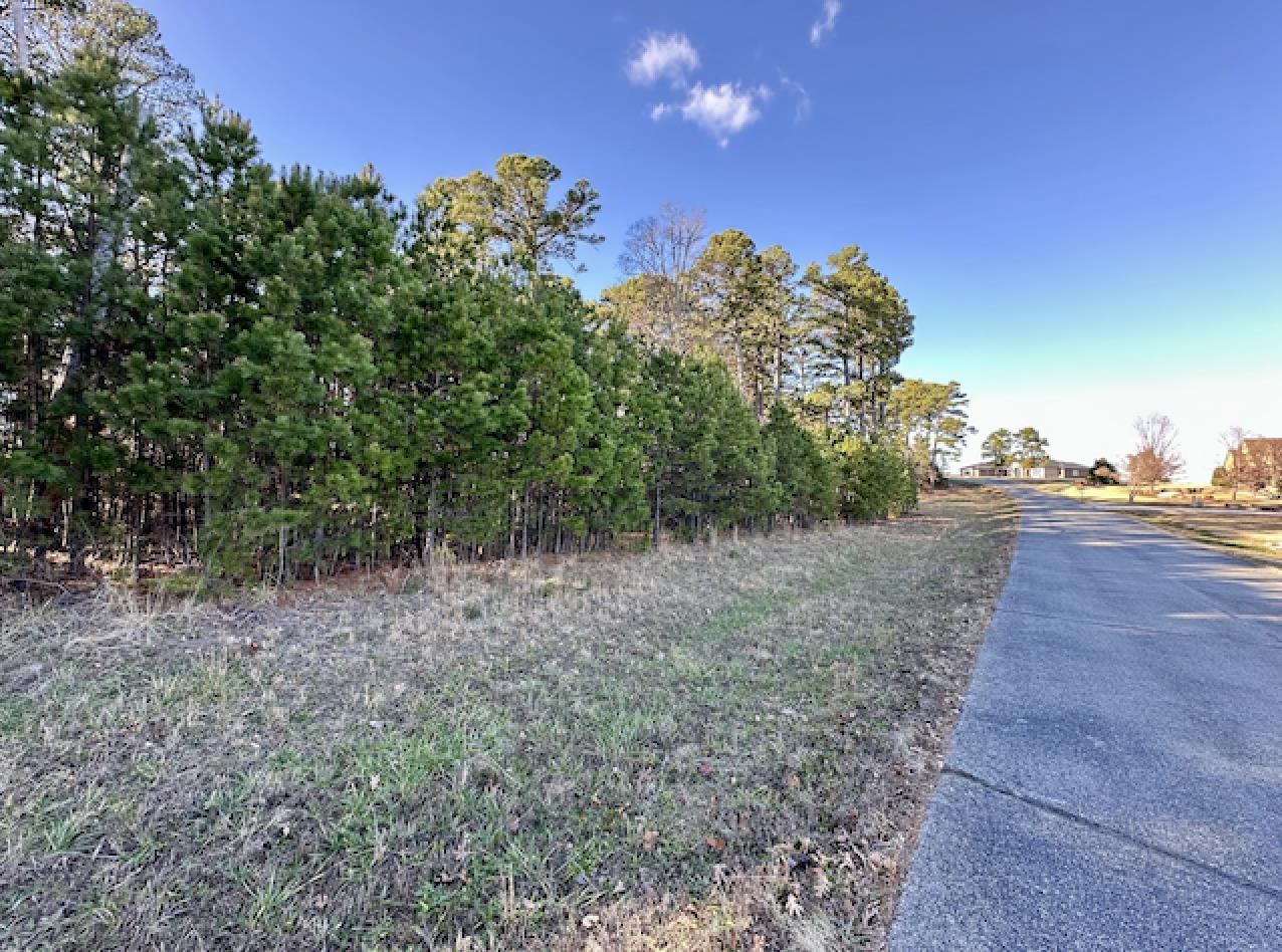 Lot 40  Swiss Alps Lane  Mountain Home, AR