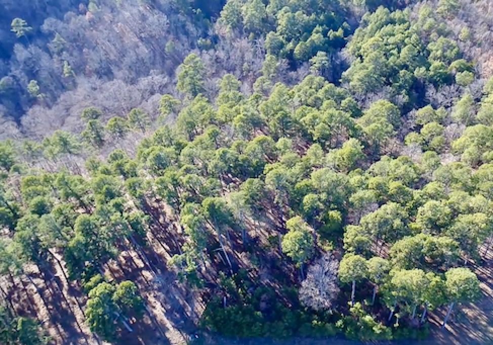 Lot 40  Swiss Alps Lane  Mountain Home, AR