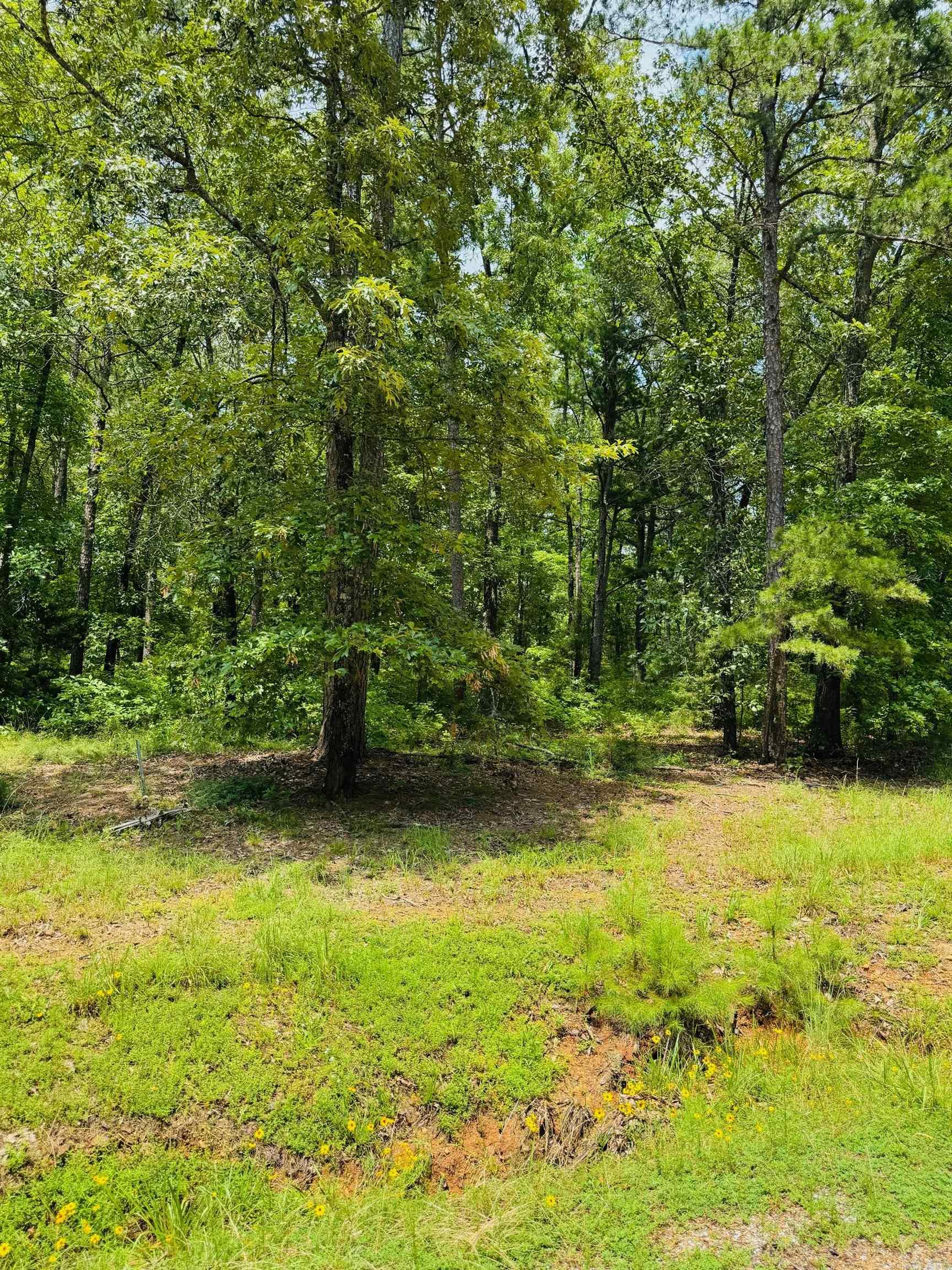 Lot 45 Primrose Creek  Heber Springs, AR