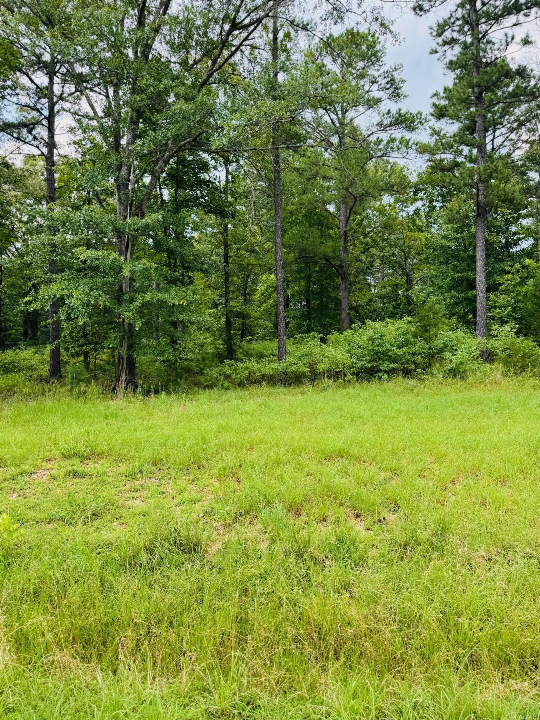 Lot 48 Primrose Creek  Heber Springs, AR