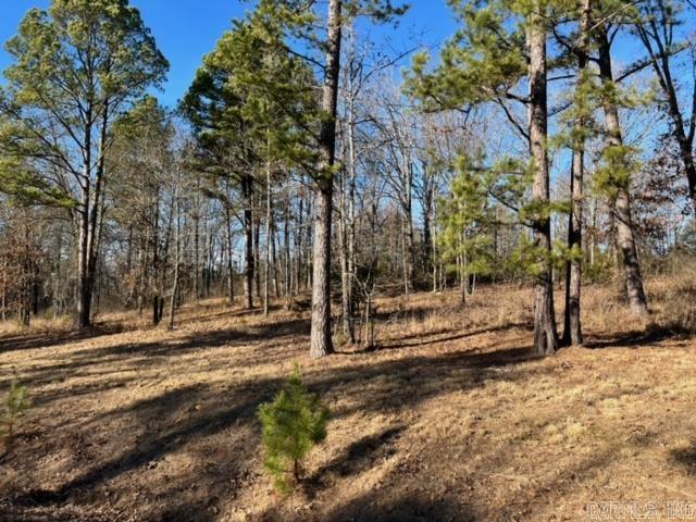 Lot 49  Primrose Creek  Heber Springs, AR