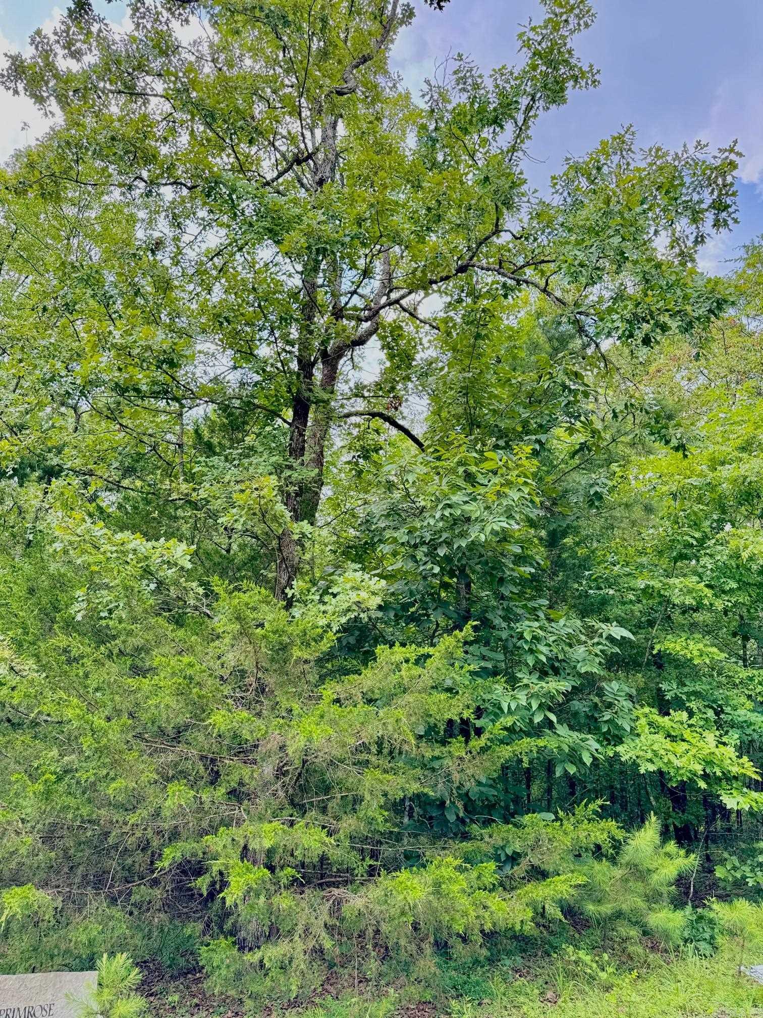 Lot 53 Primrose Creek  Heber Springs, AR