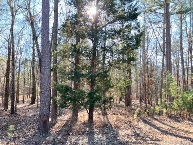 Lot 39  Primrose Creek  Heber Springs, AR