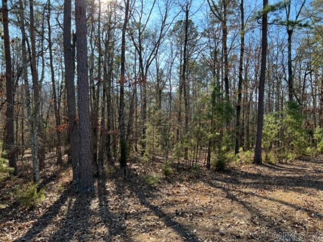 Lot 42  Primrose Creek  Heber Springs, AR
