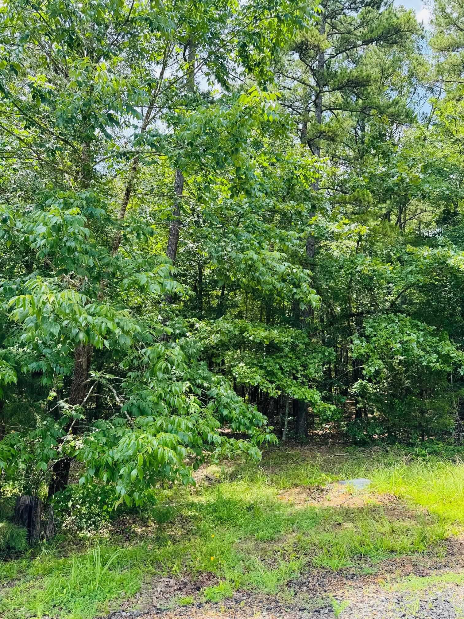 Lot 55 Primrose Creek  Heber Springs, AR