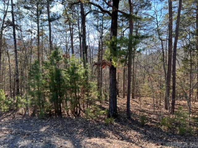 Lot 55  Primrose Creek  Heber Springs, AR