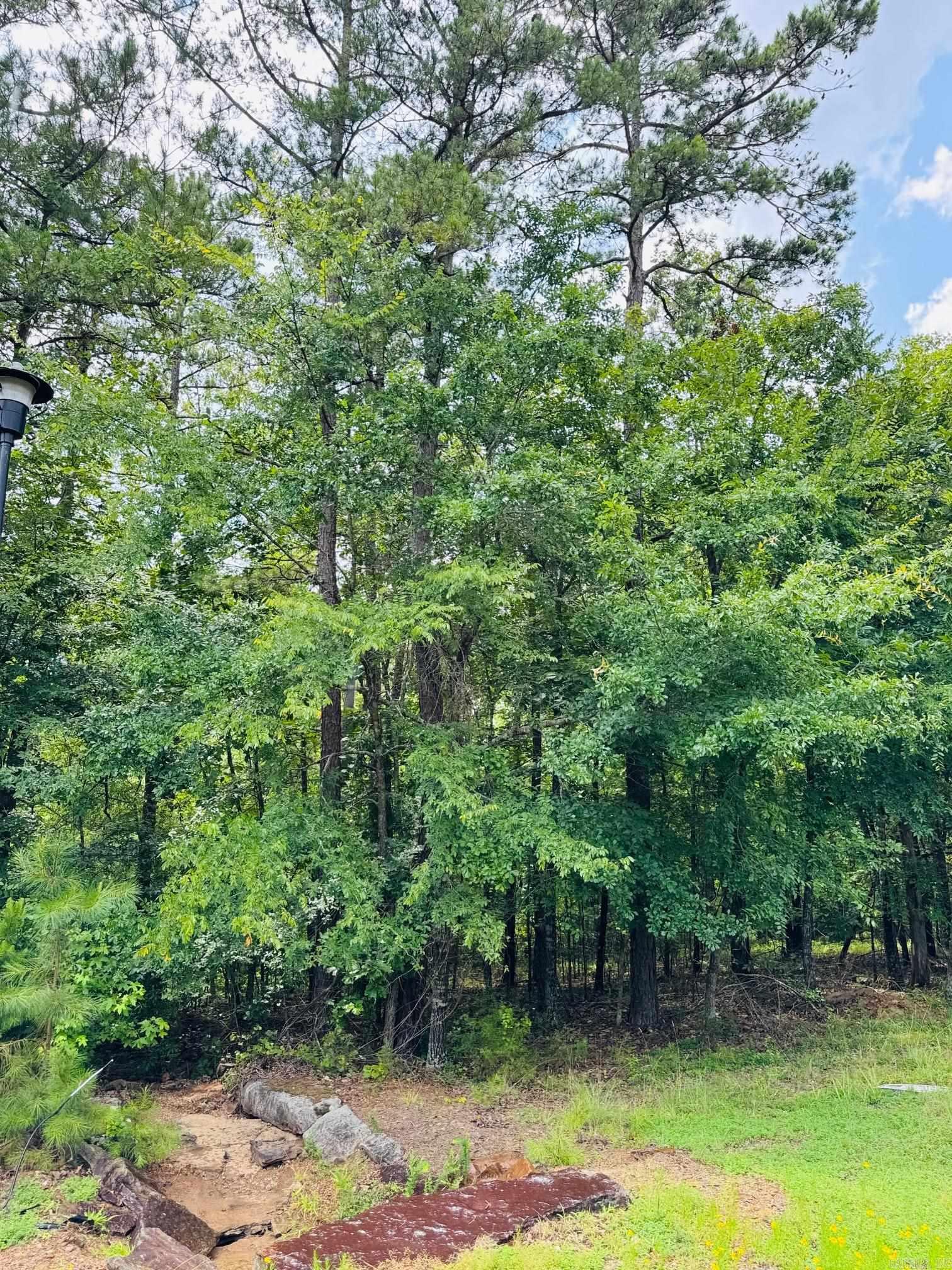 Lot 54 Primrose Creek  Heber Springs, AR