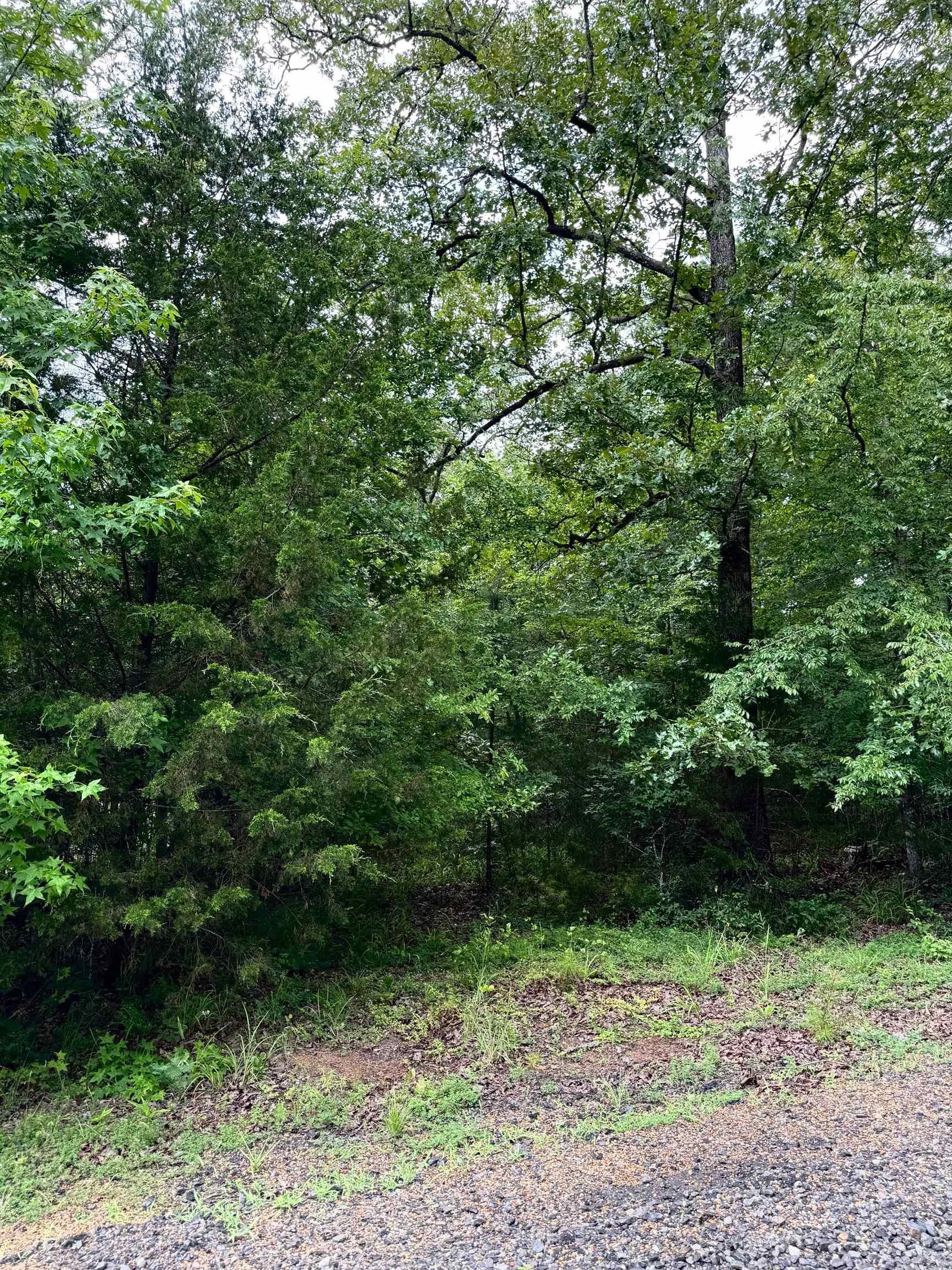 Lot 52 Primrose Creek  Heber Springs, AR
