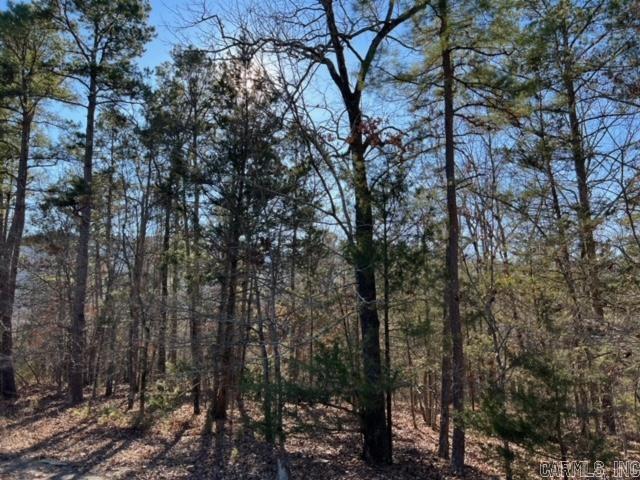 Lot 52  Primrose Creek  Heber Springs, AR