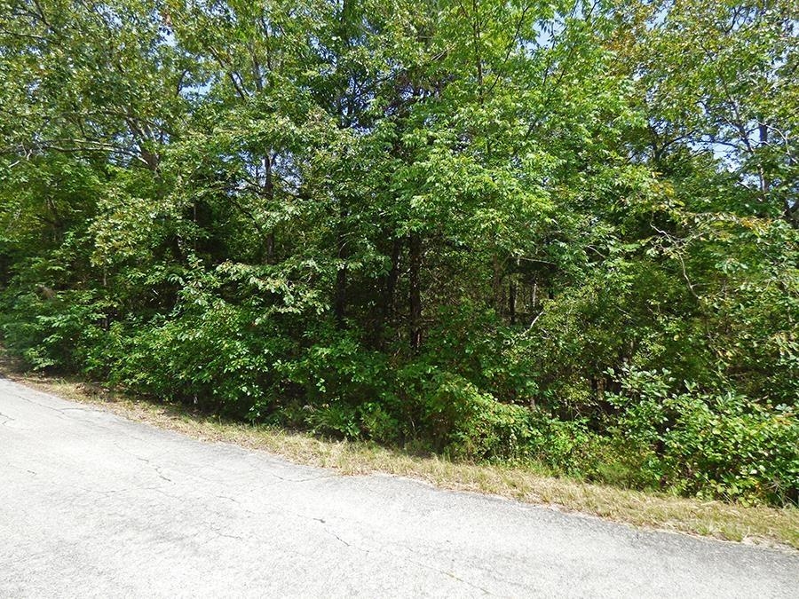 32 & 33  Isleta  Cherokee Village, AR
