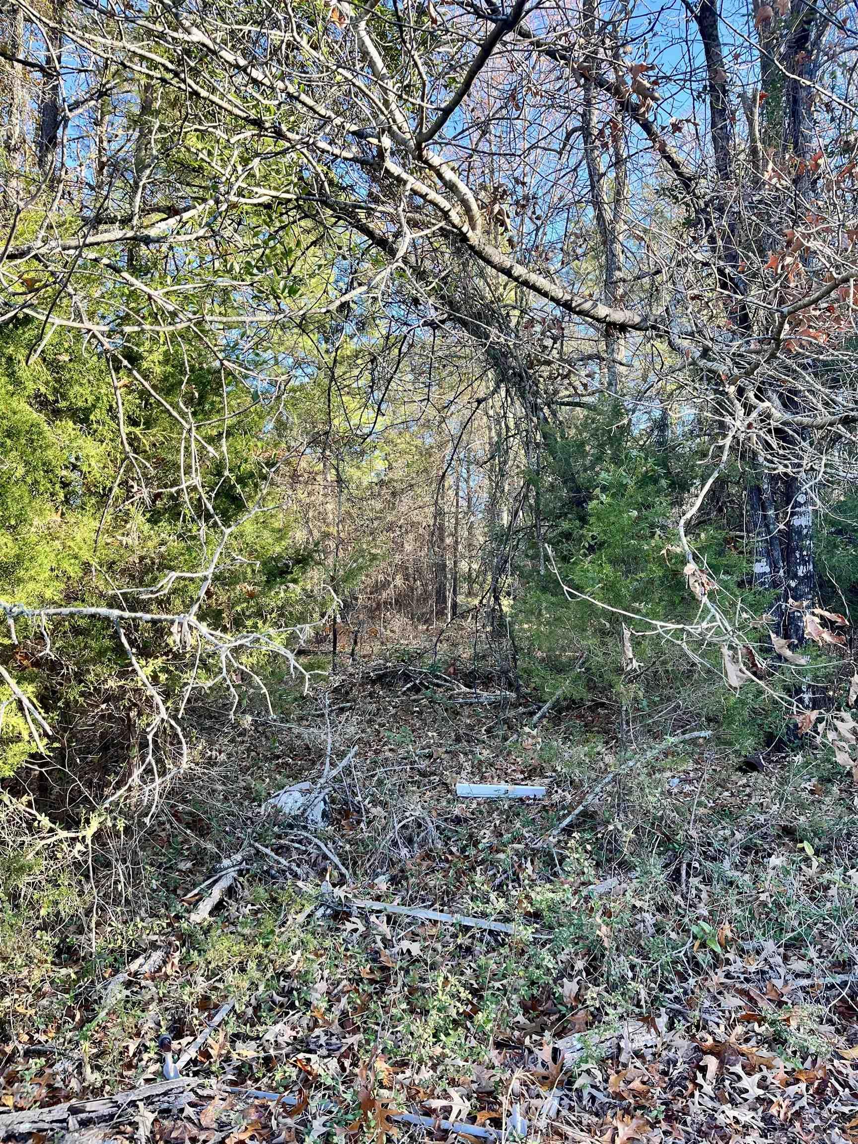 62  Dallas 409  Leola, AR