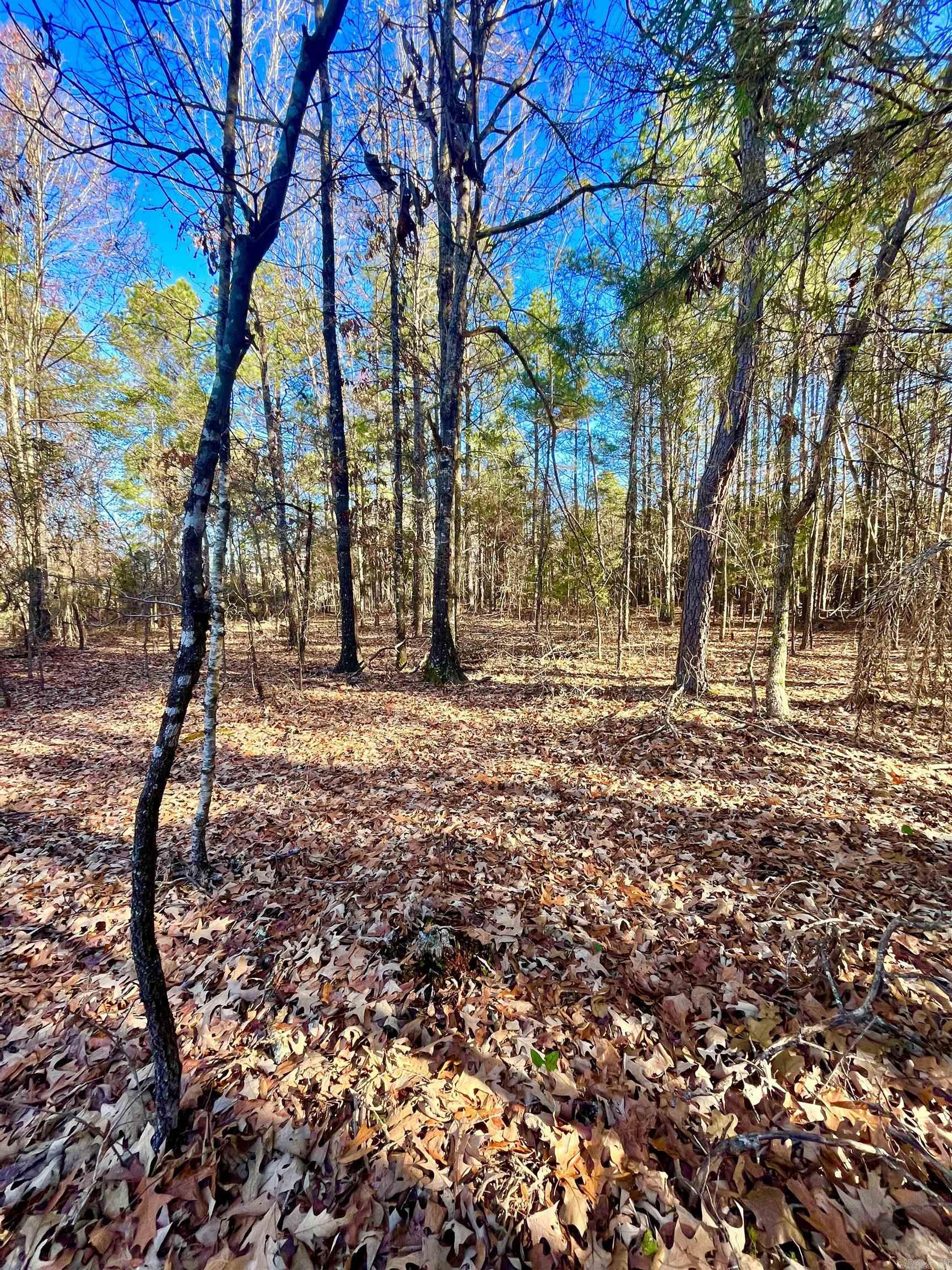62  Dallas 409  Leola, AR
