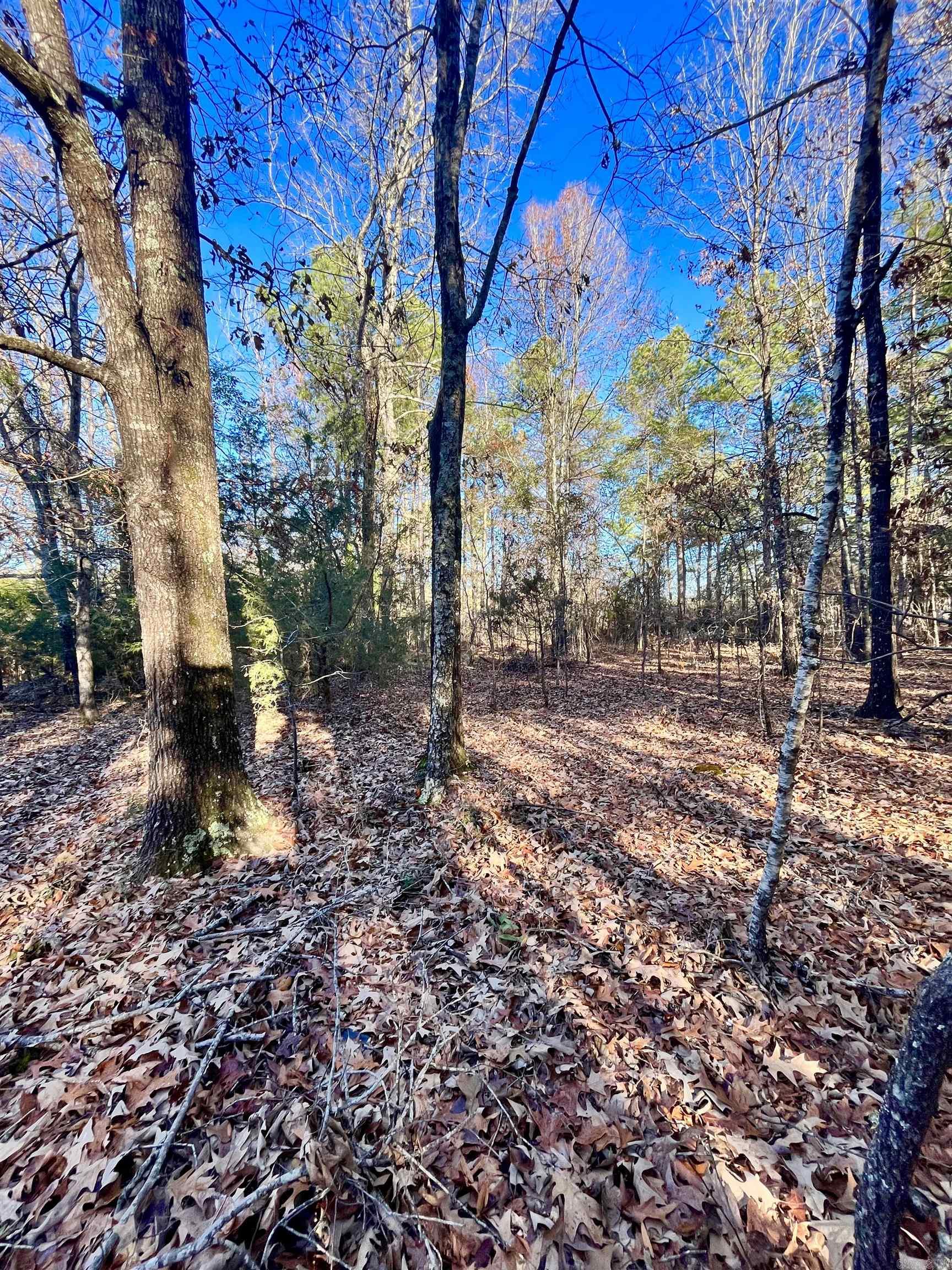 62  Dallas 409  Leola, AR
