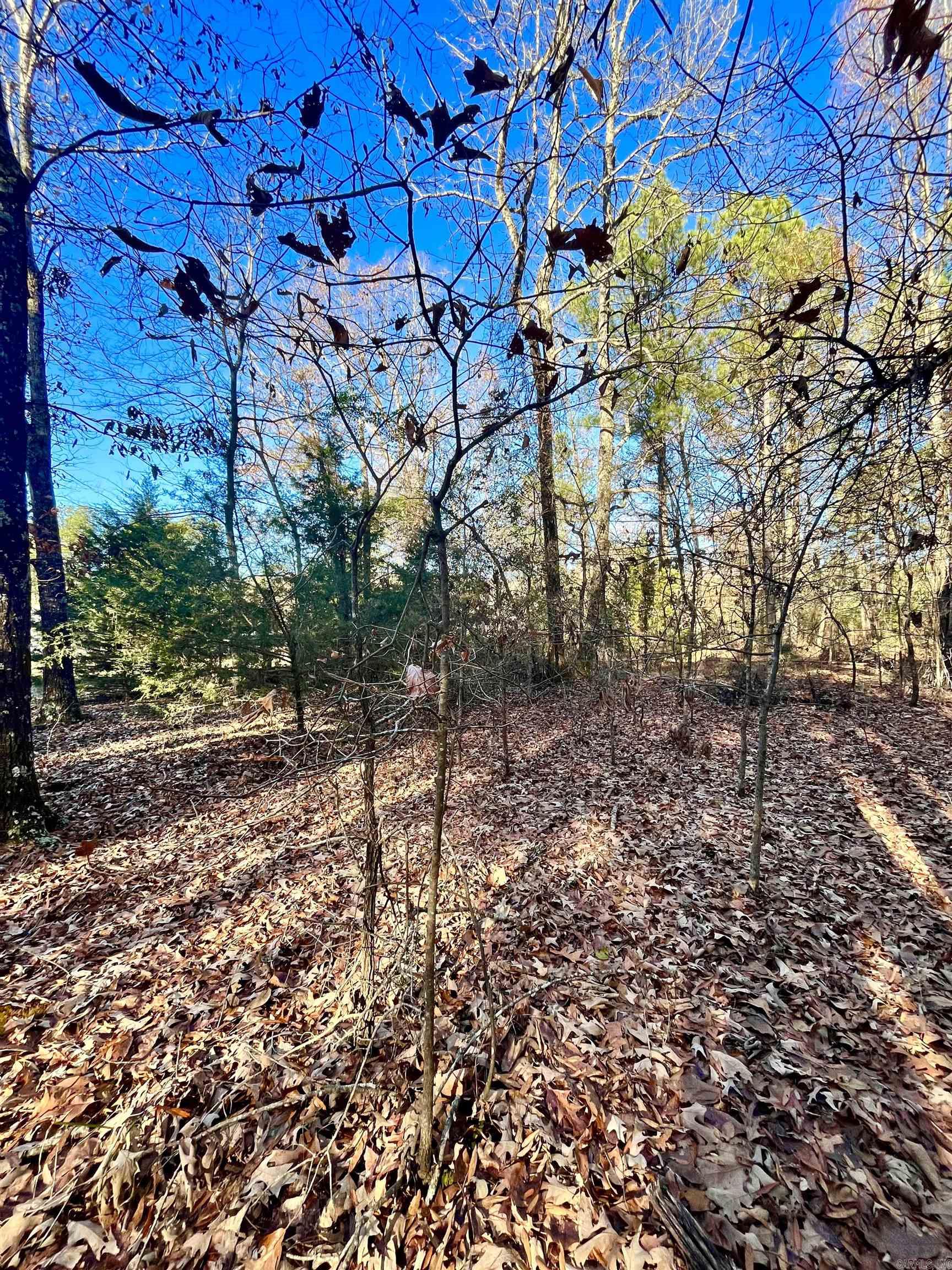62  Dallas 409  Leola, AR