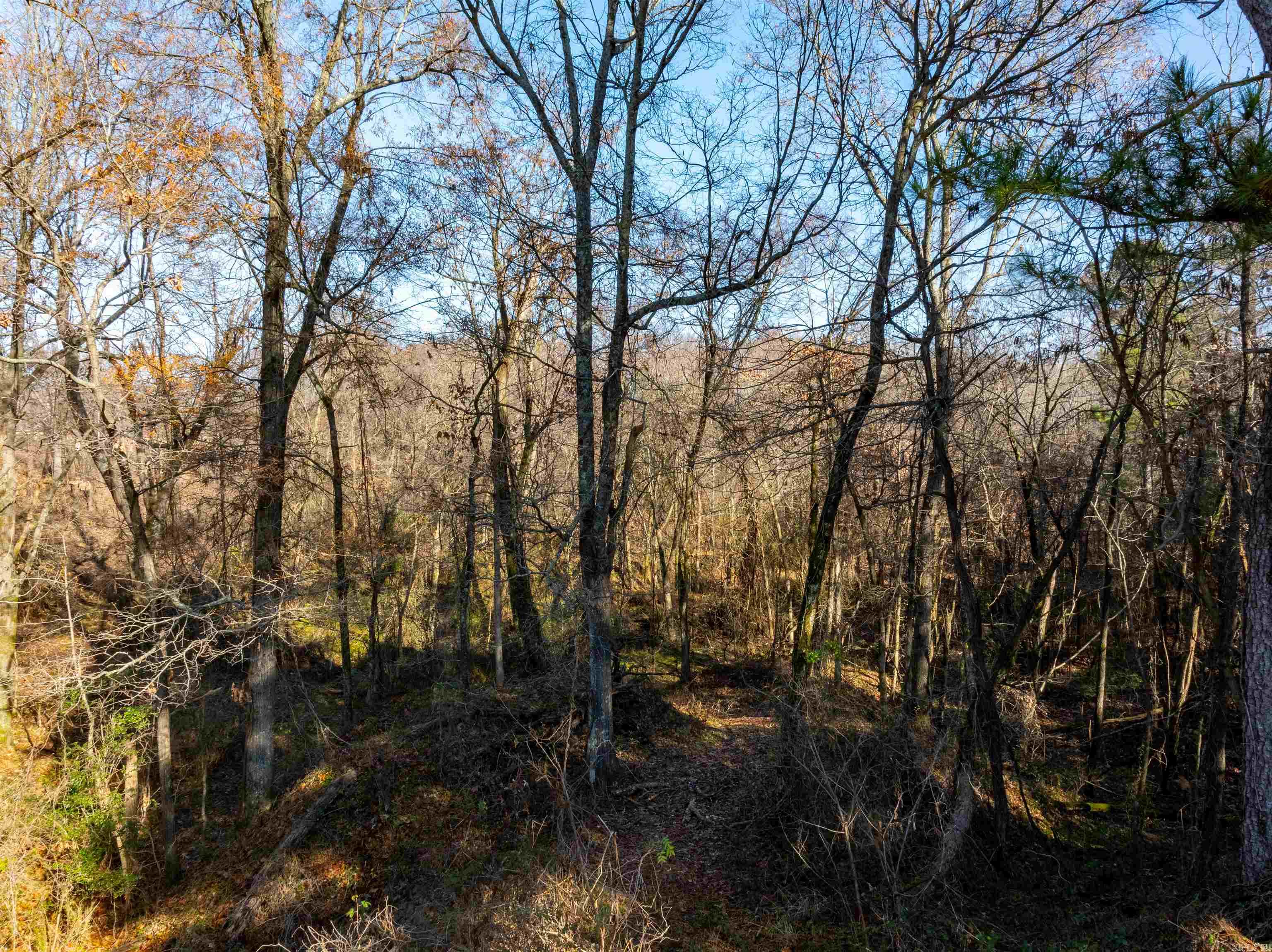   Hasbrook Road  Jonesboro, AR