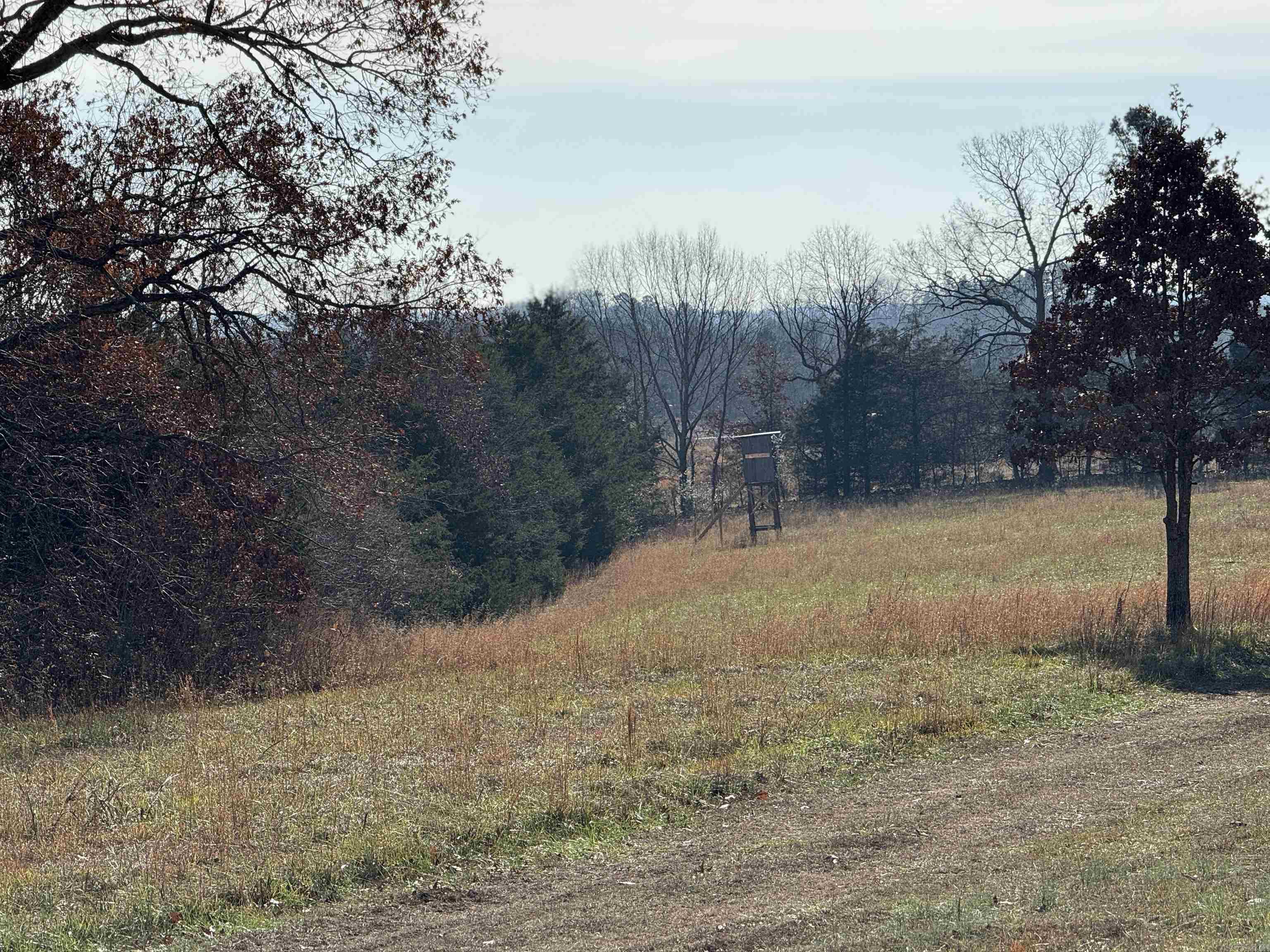 1105  Long Branch Road  Heber Springs, AR