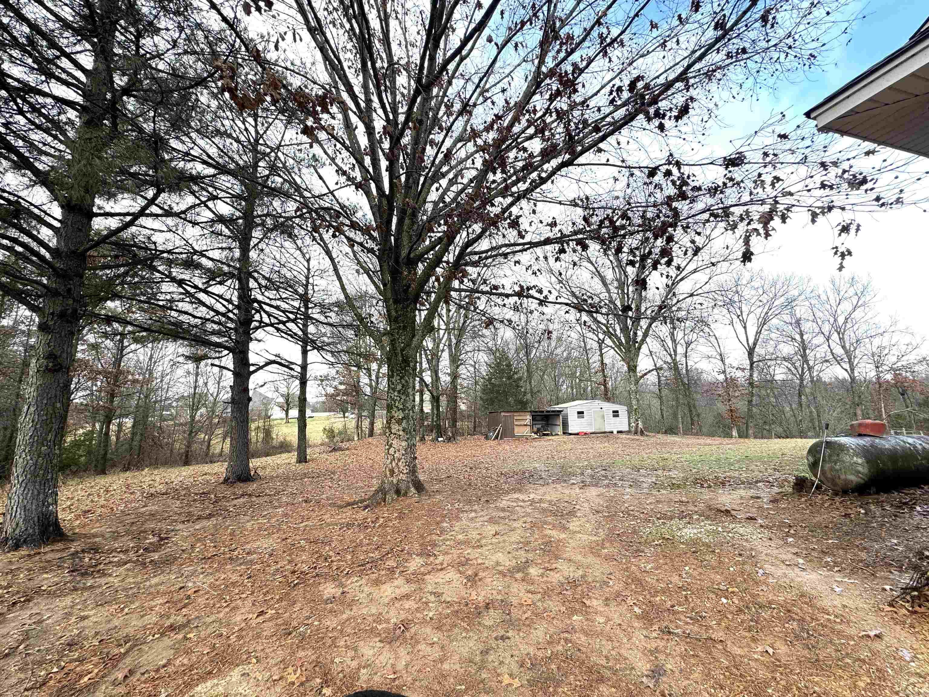 325  CR 367  Wynne, AR