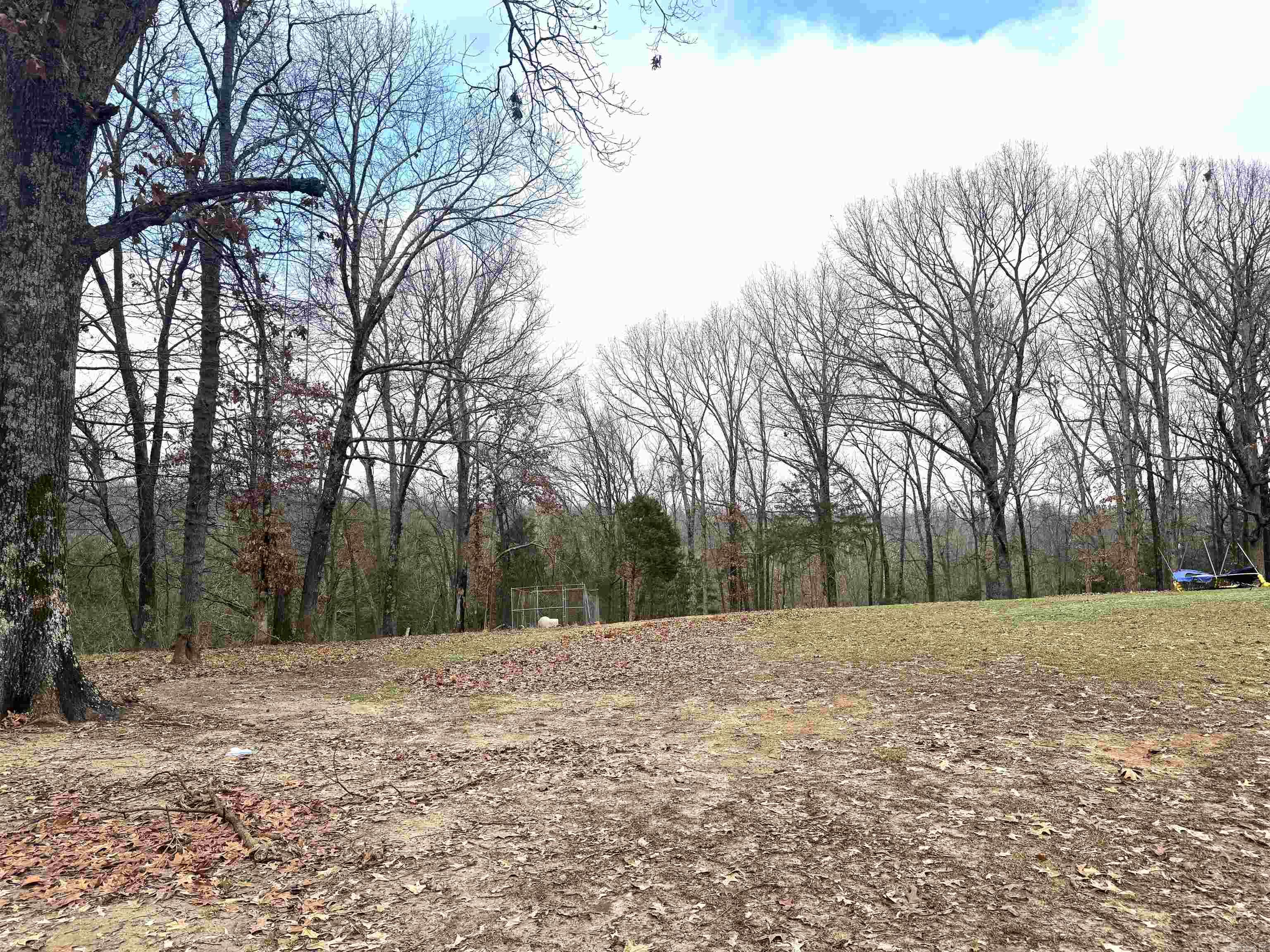 325  CR 367  Wynne, AR