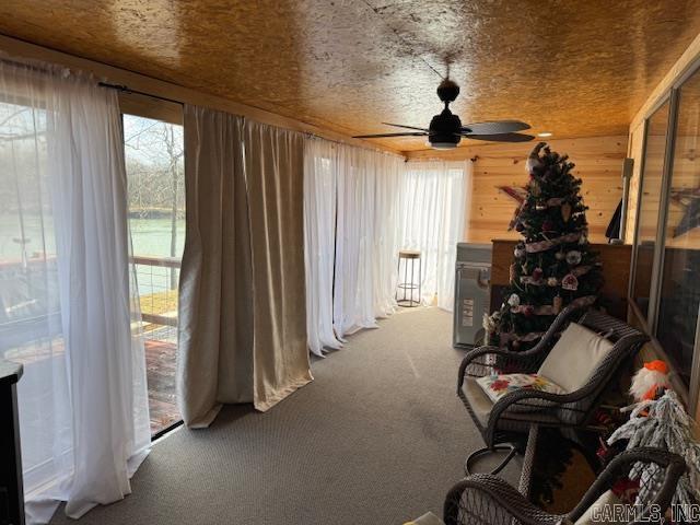 172  Current River  Maynard, AR