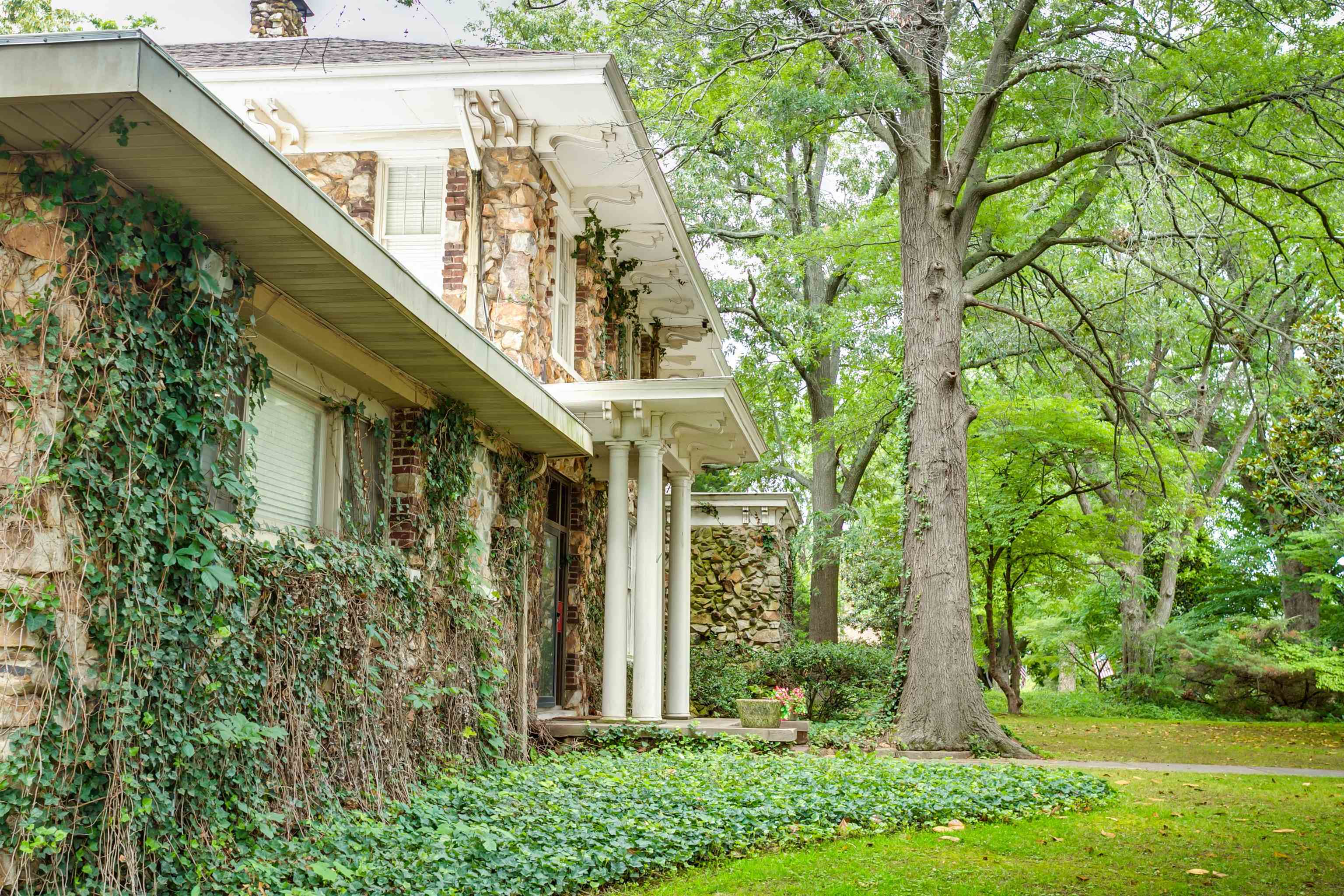 312 E Nettleton Avenue  Jonesboro, AR