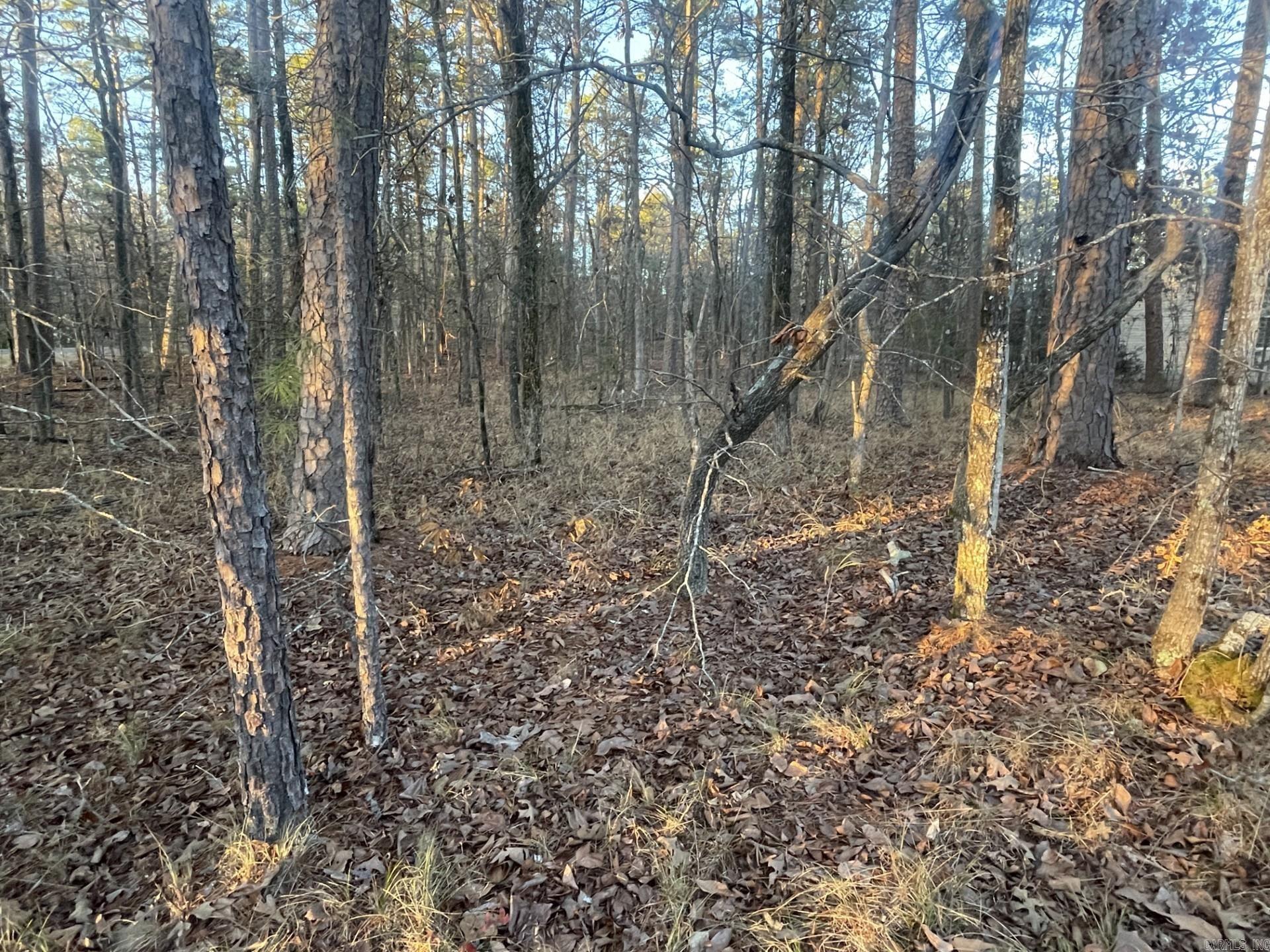  HARTURA Way  Hot Springs Village, AR