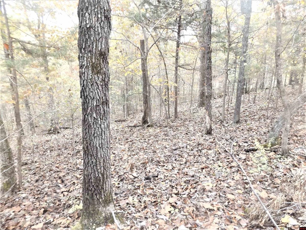 00  CR 25  Mountain Home, AR