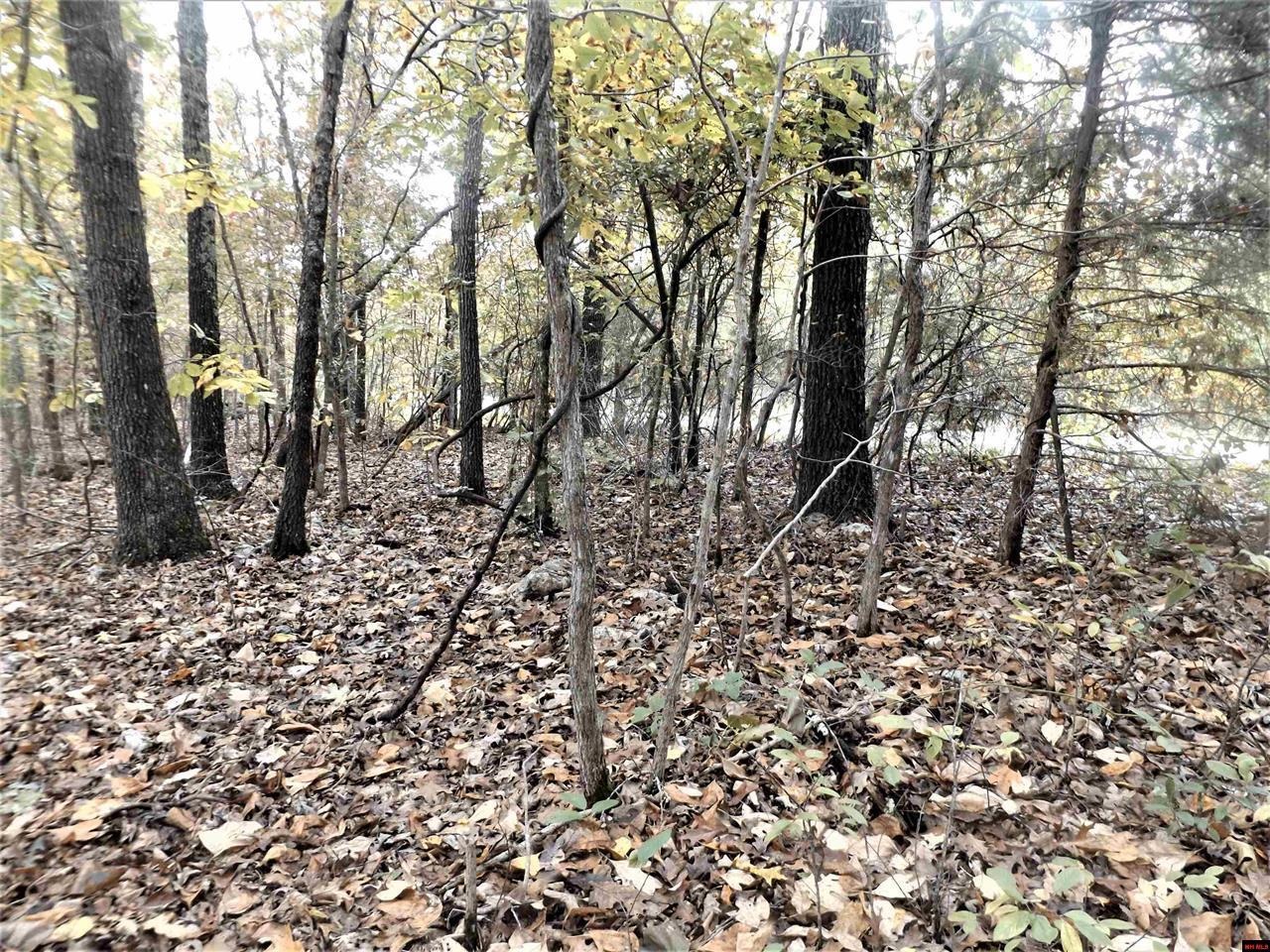 00  CR 25  Mountain Home, AR