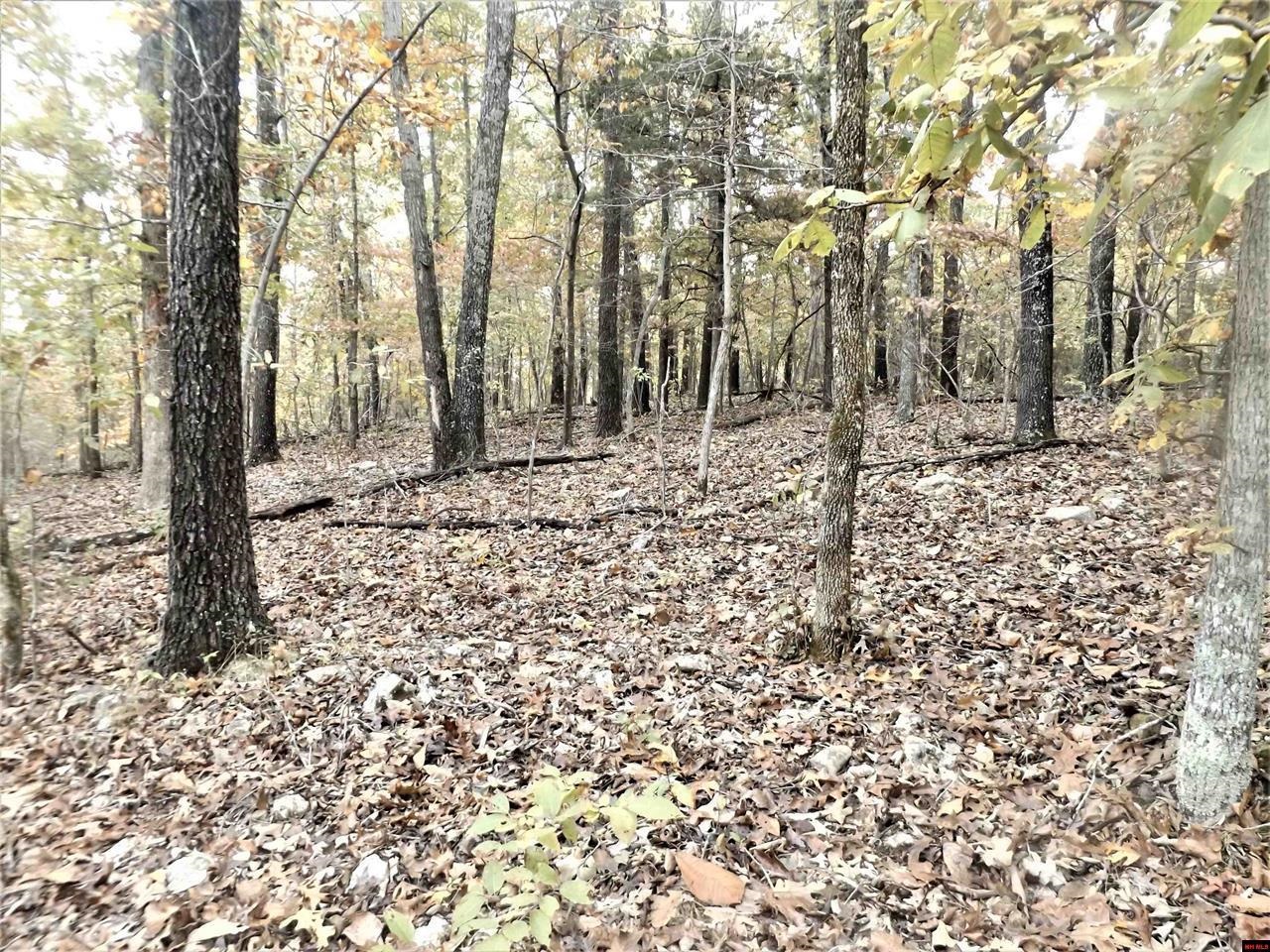 00  CR 25  Mountain Home, AR