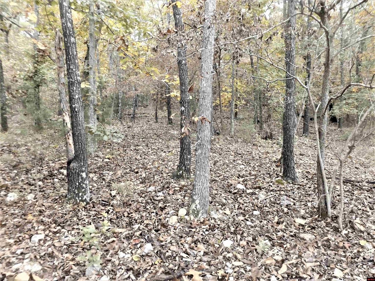 00  CR 25  Mountain Home, AR