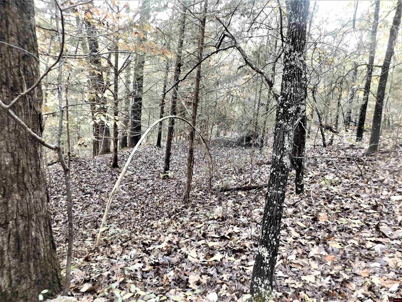 00  CR 25  Mountain Home, AR