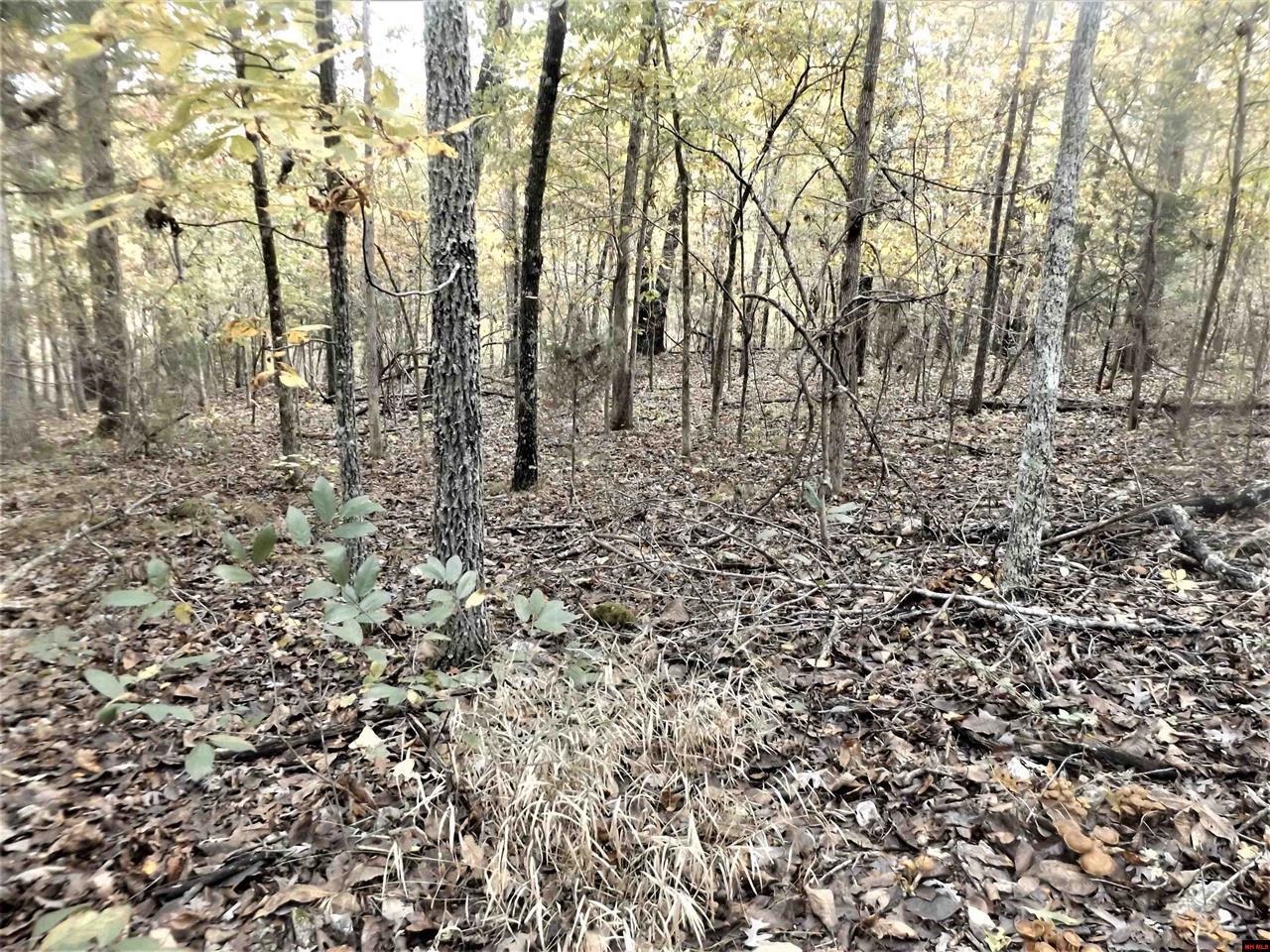 00  CR 25  Mountain Home, AR