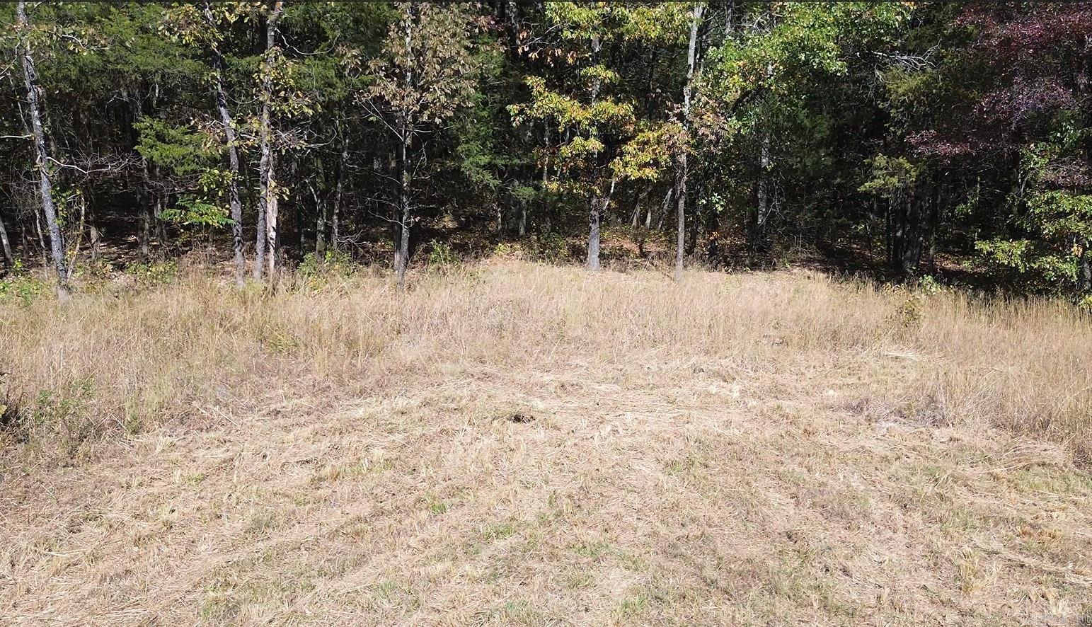 28B  Ashberry Ln  Quitman, AR